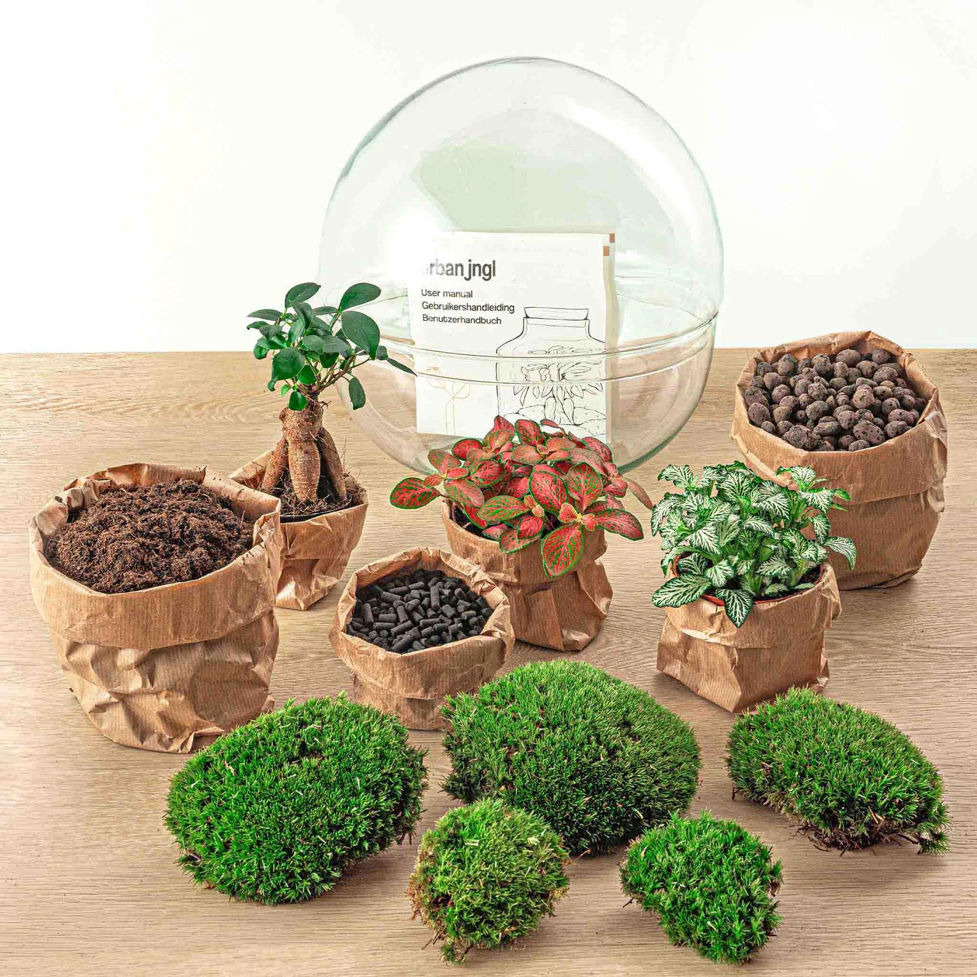 DIY Flaschengarten in Wohnzimmer