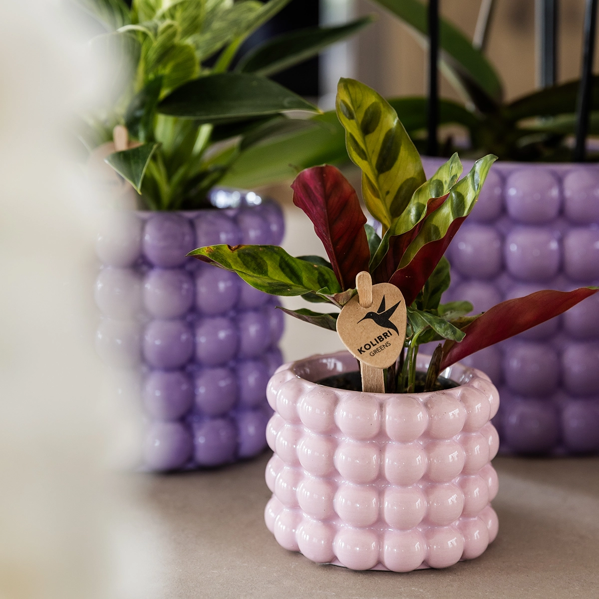 Detailansicht: Blasendesign und Farben der Poppy Übertöpfe