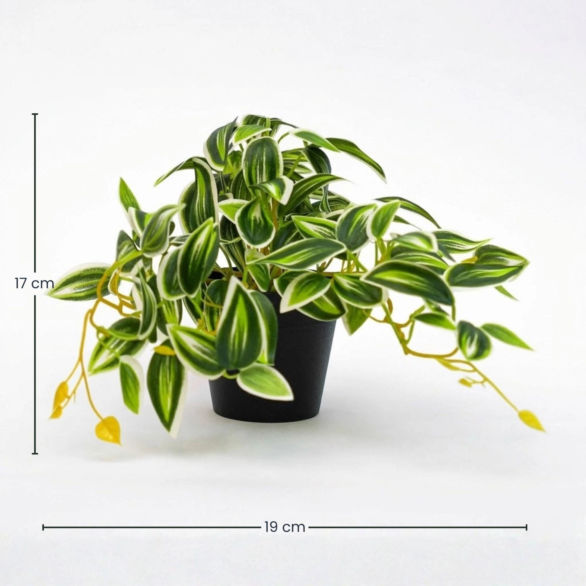 Tradescantia Kunstpflanze grün-weiß frontal im Topf, 19 cm