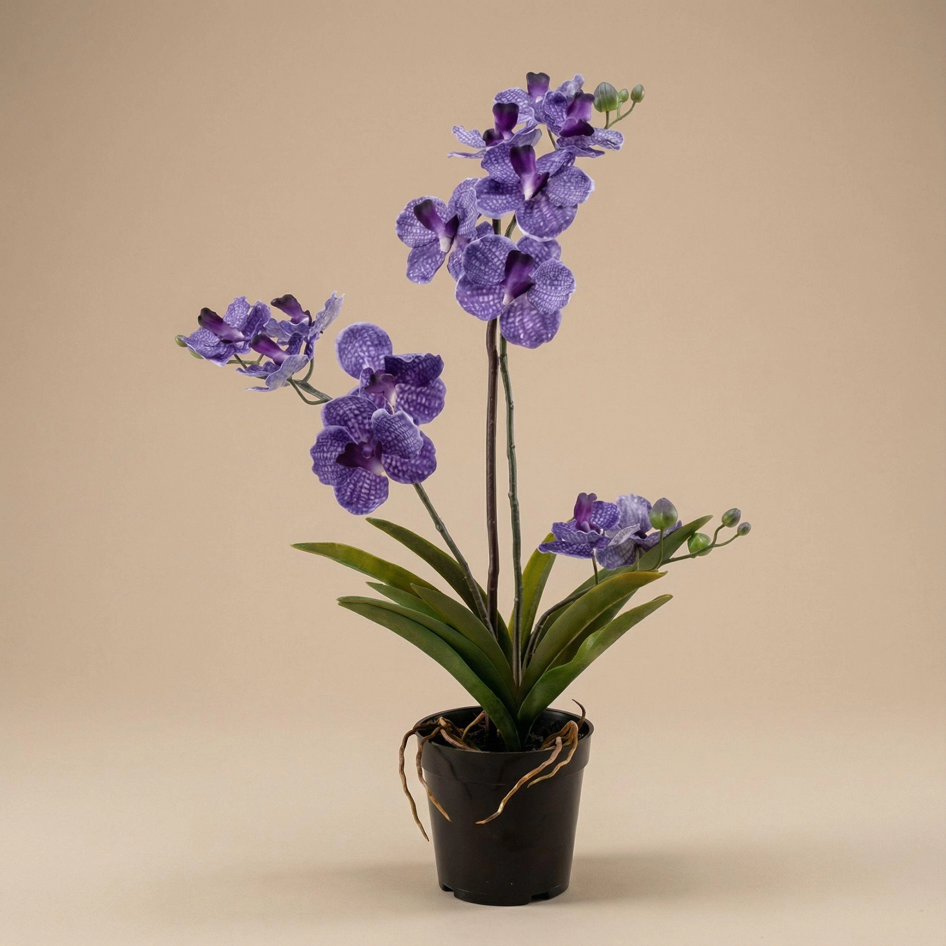 Vanda Orchidee Kunstplant in tiefem Lila