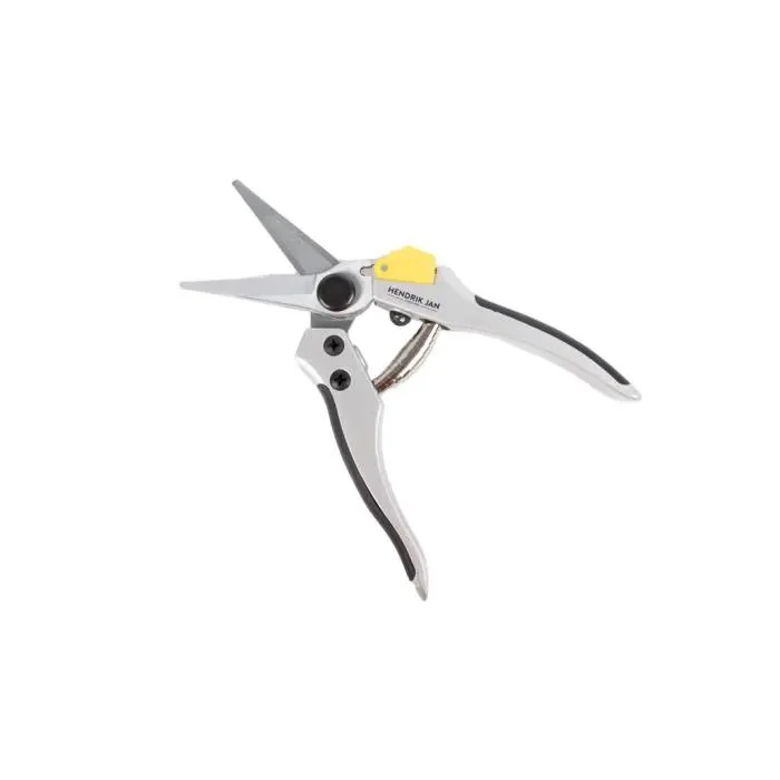 Hendrik Jan Snoeischaar