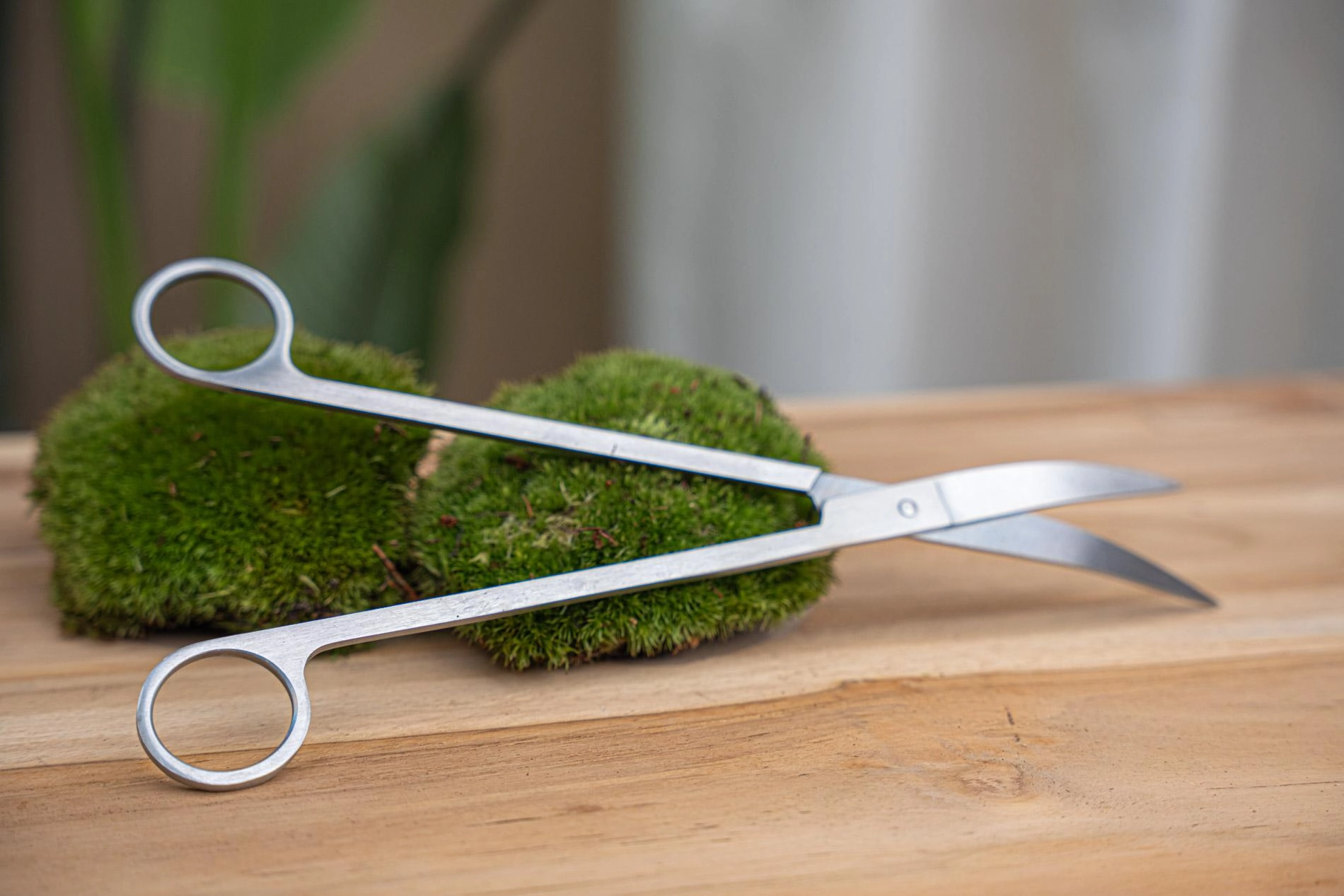 Anwendungsbeispiel der Terrarium-Schere