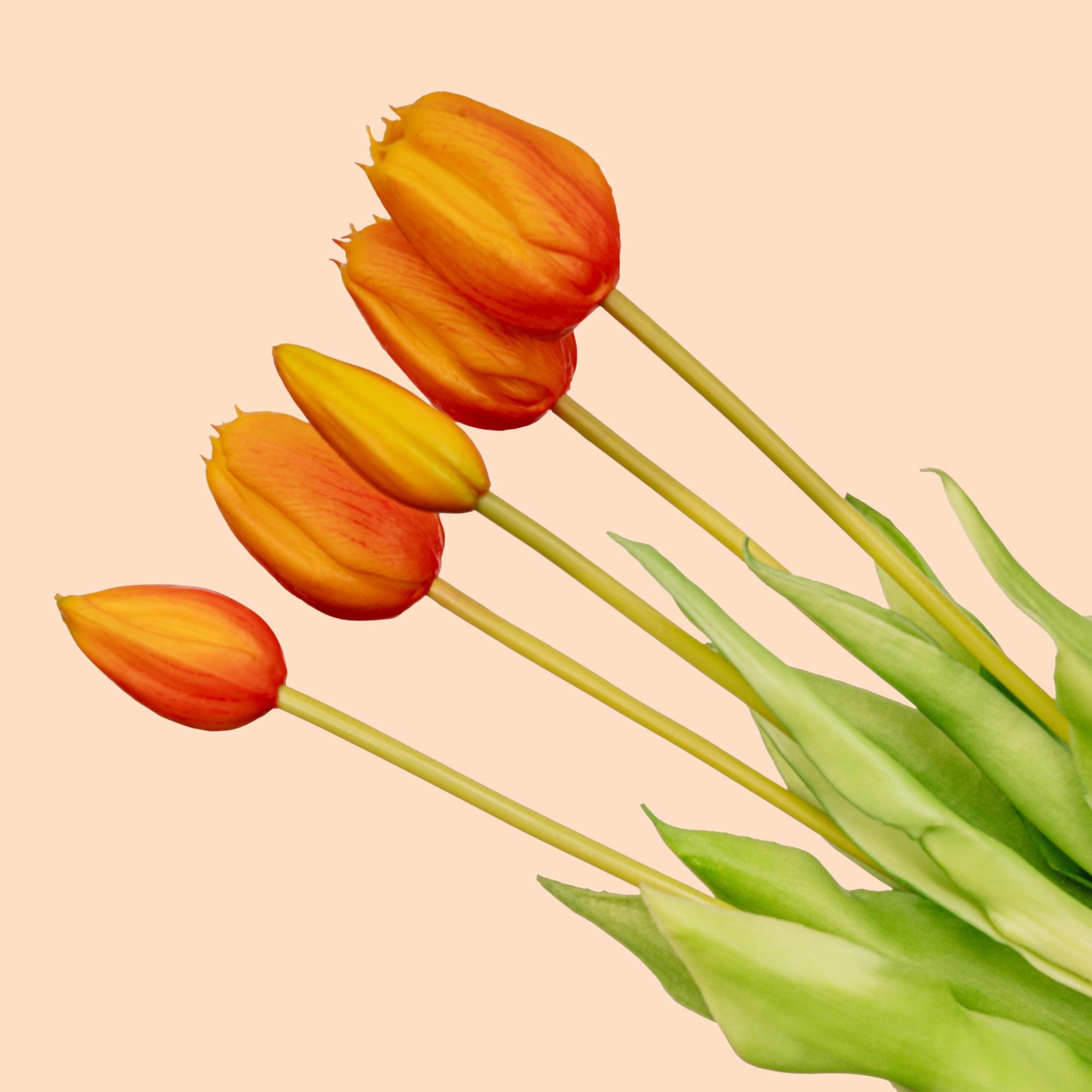 Detailansicht der Tulpen