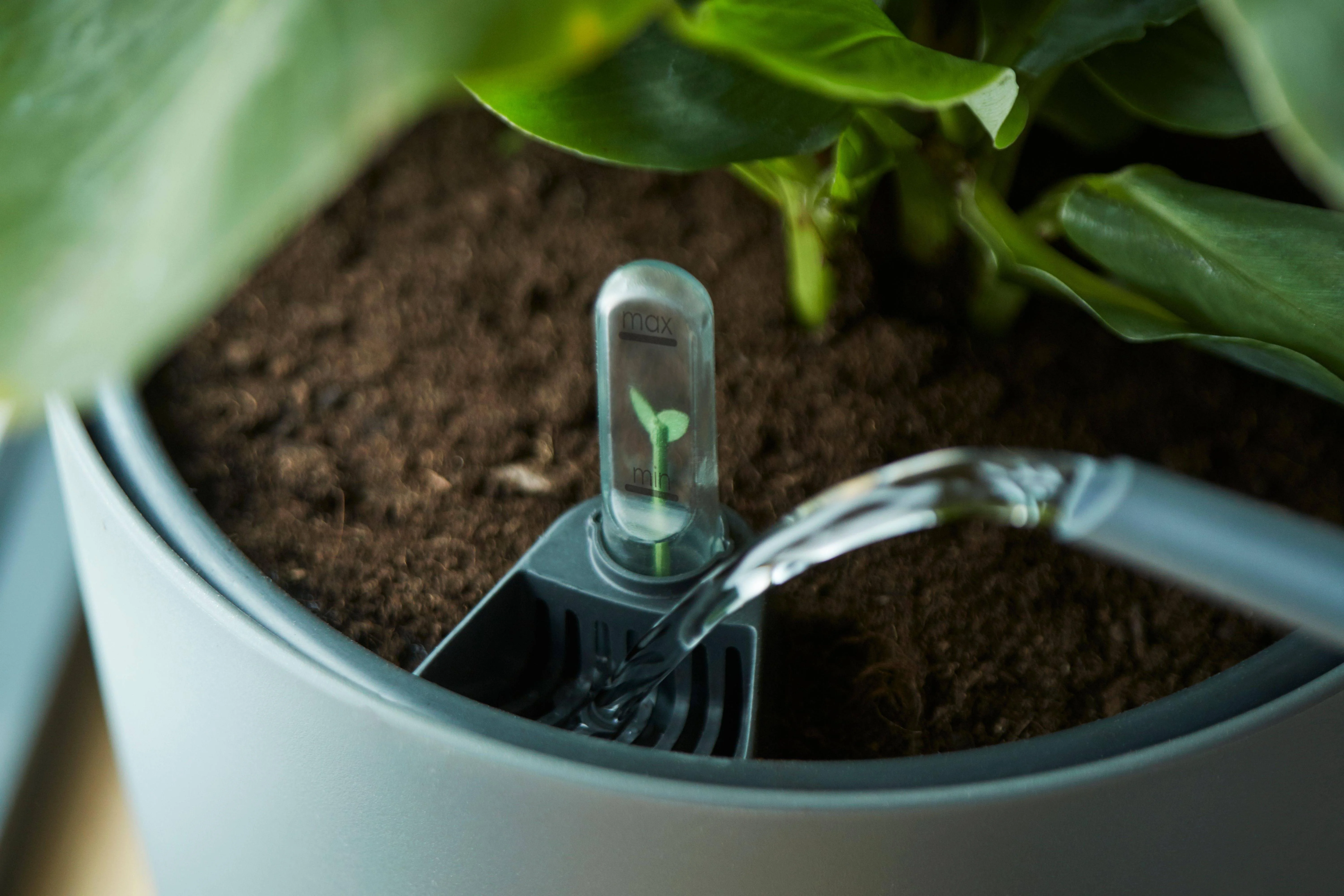 Self Watering Insert – Einsatz mit integriertem Wasserreservoir