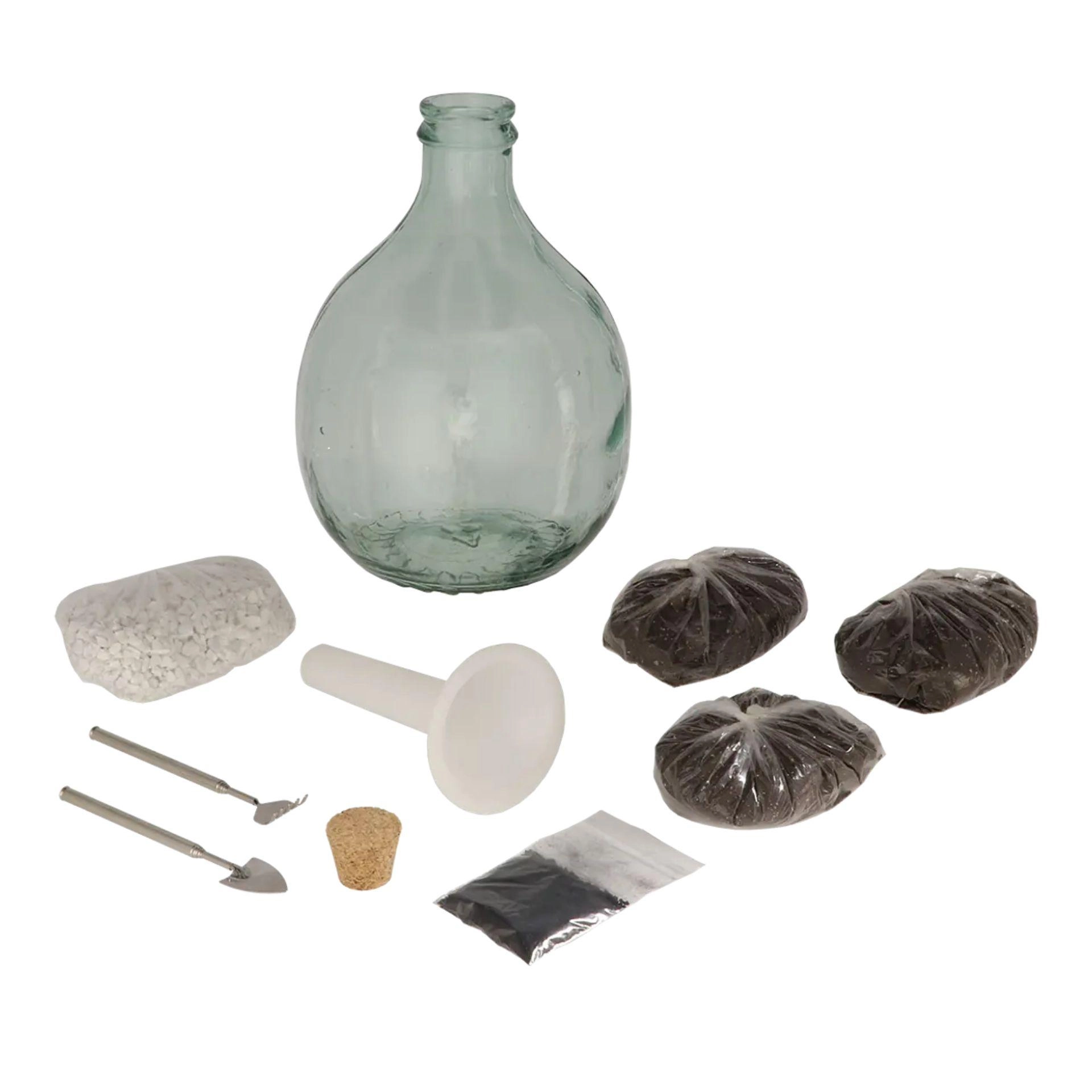 Glas Terrarium mit Pflanzen