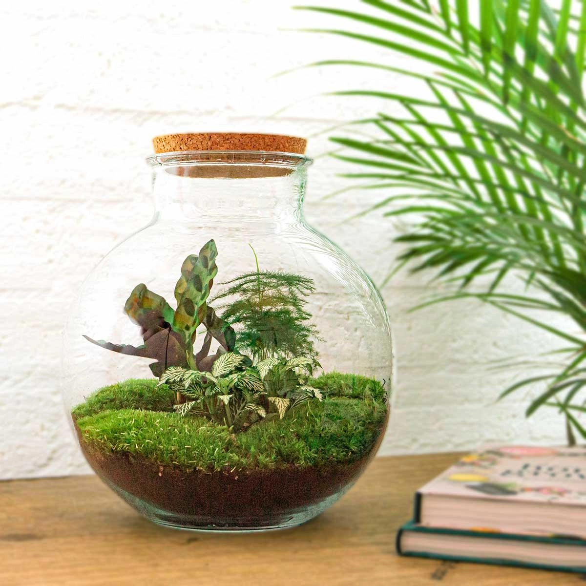 DIY Terrarium im Innenraum