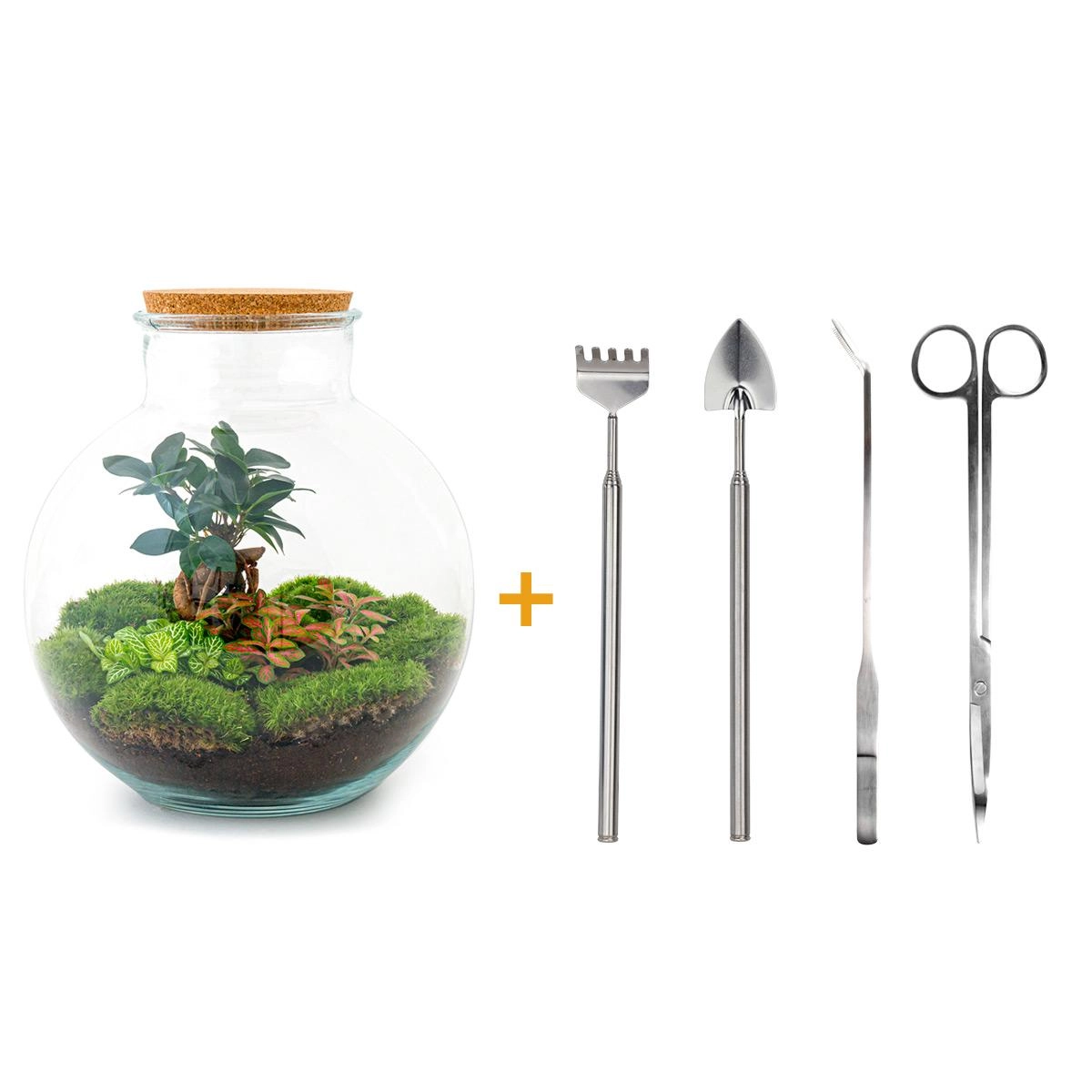DIY Terrarium Set
