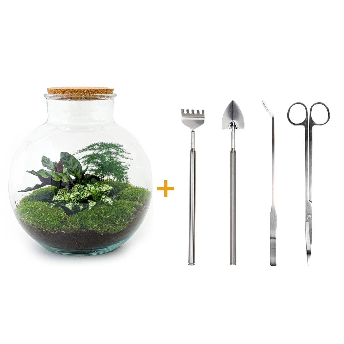 Do-It-Yourself Flaschengarten Set