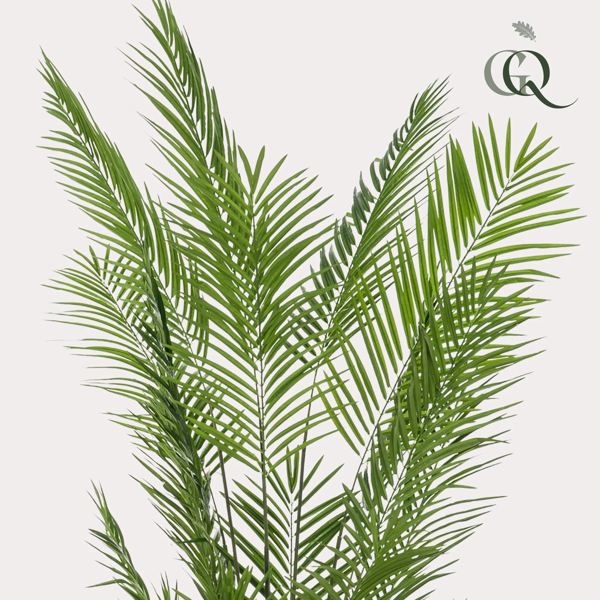 Goudpalm Kunstpflanze