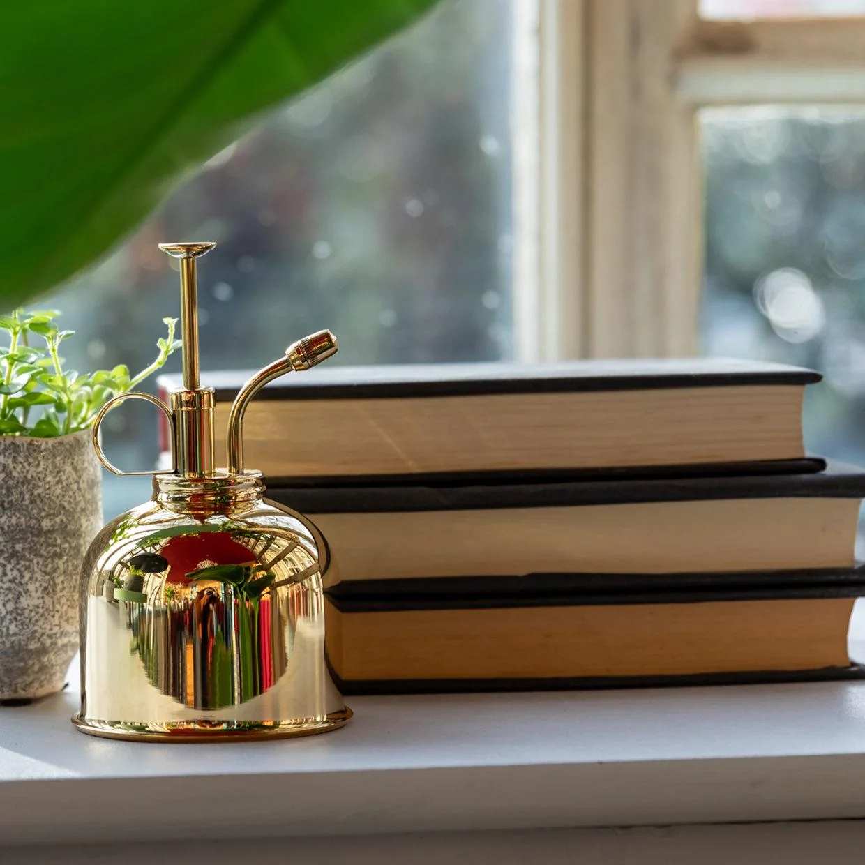 Hochwertiger Metall Mister für Pflanzen