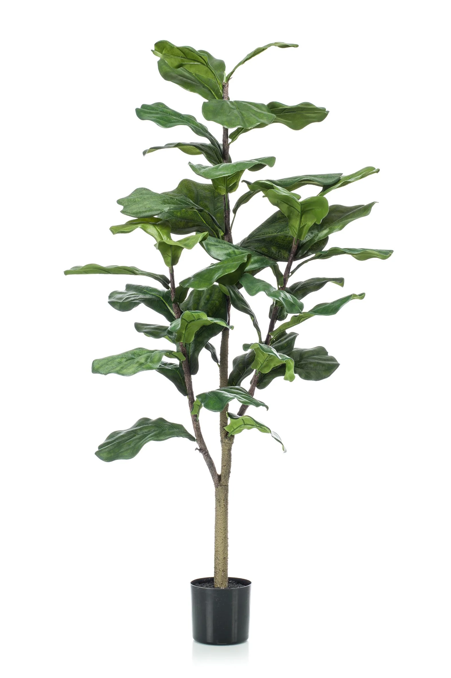 Ficus Lyrata Kunstpflanze