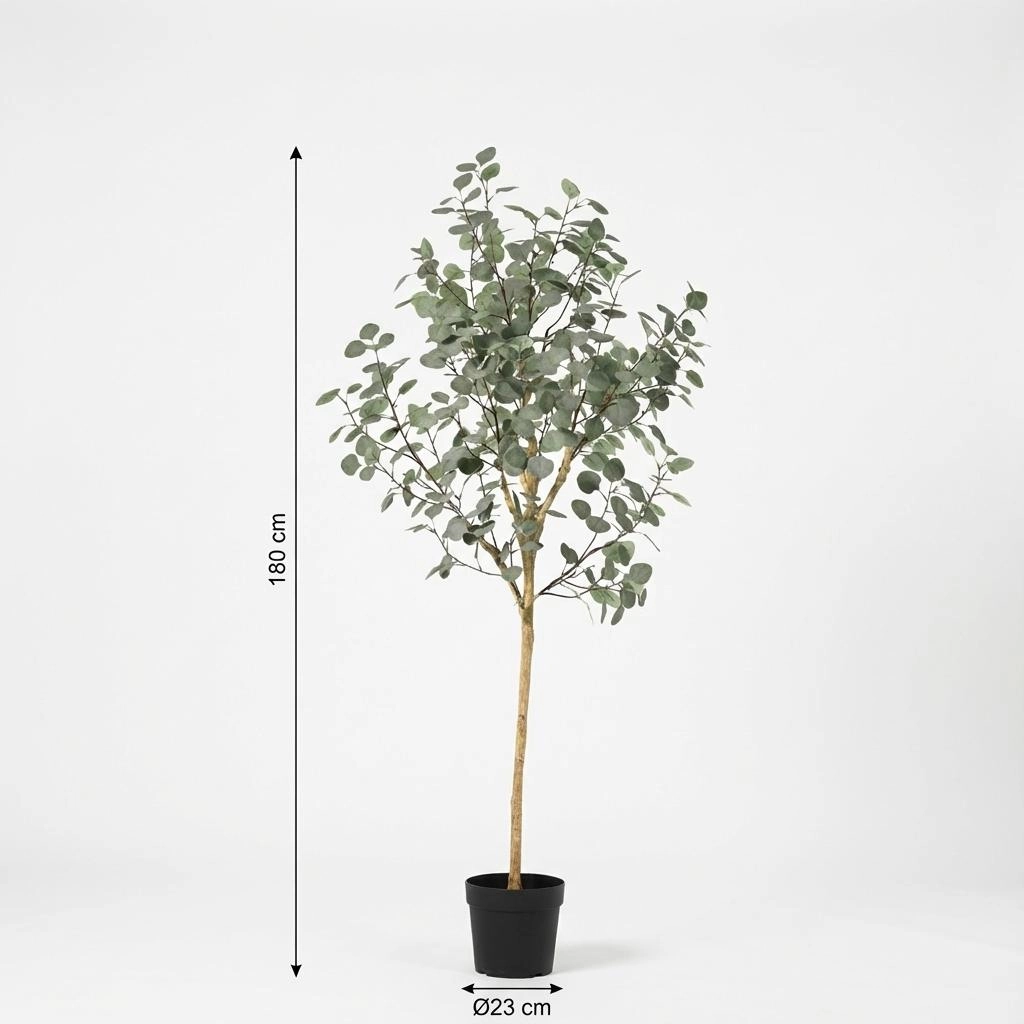 Eukalyptus in stilvollem Wohnambiente