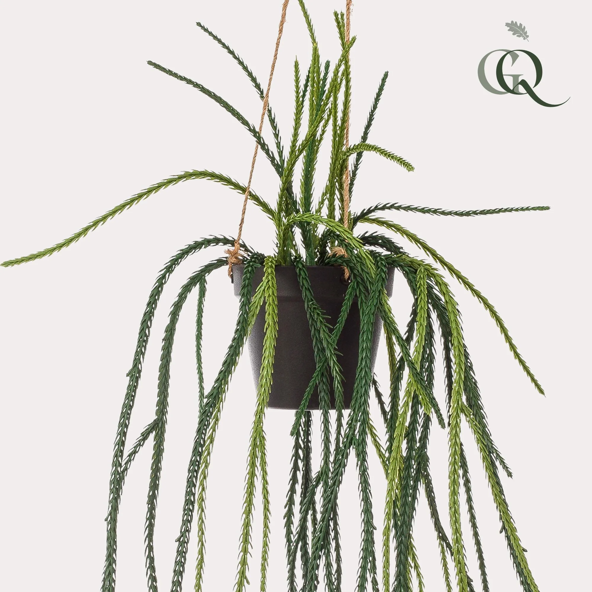 Detailansicht der Kunstpflanze Rhipsalis