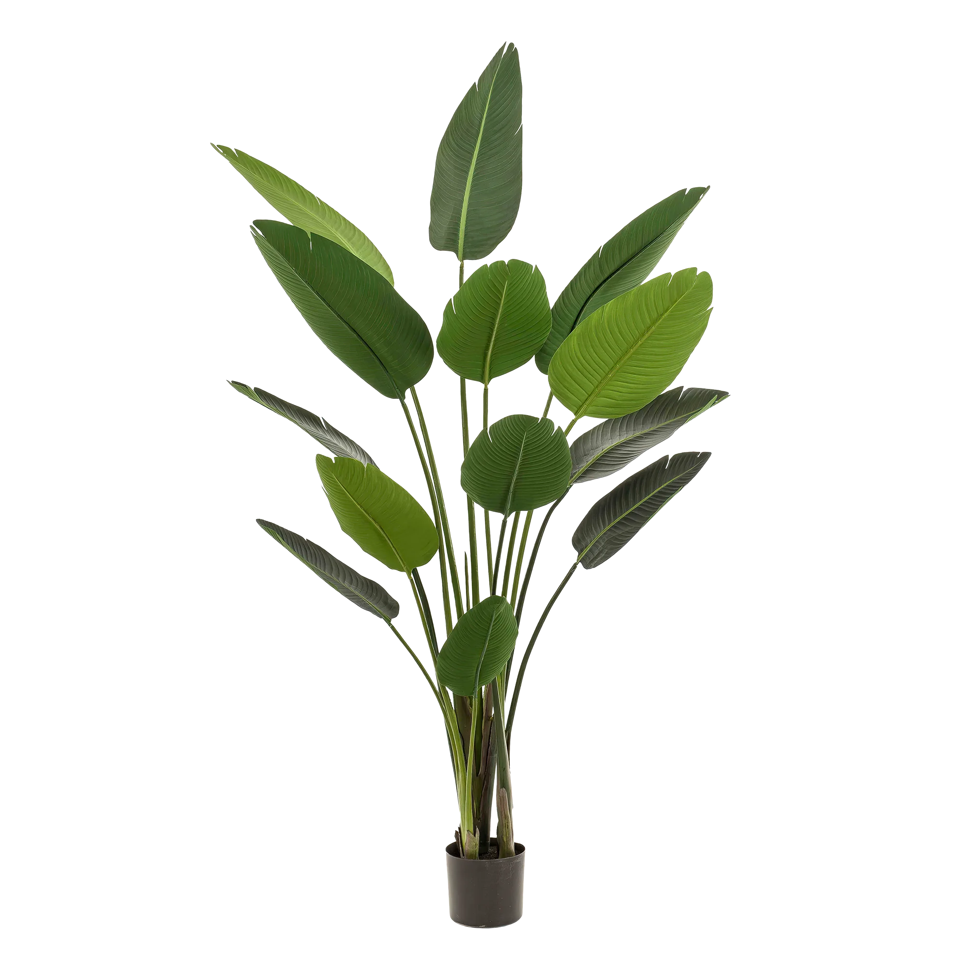 Strelizia Nicolai Kunstpflanze