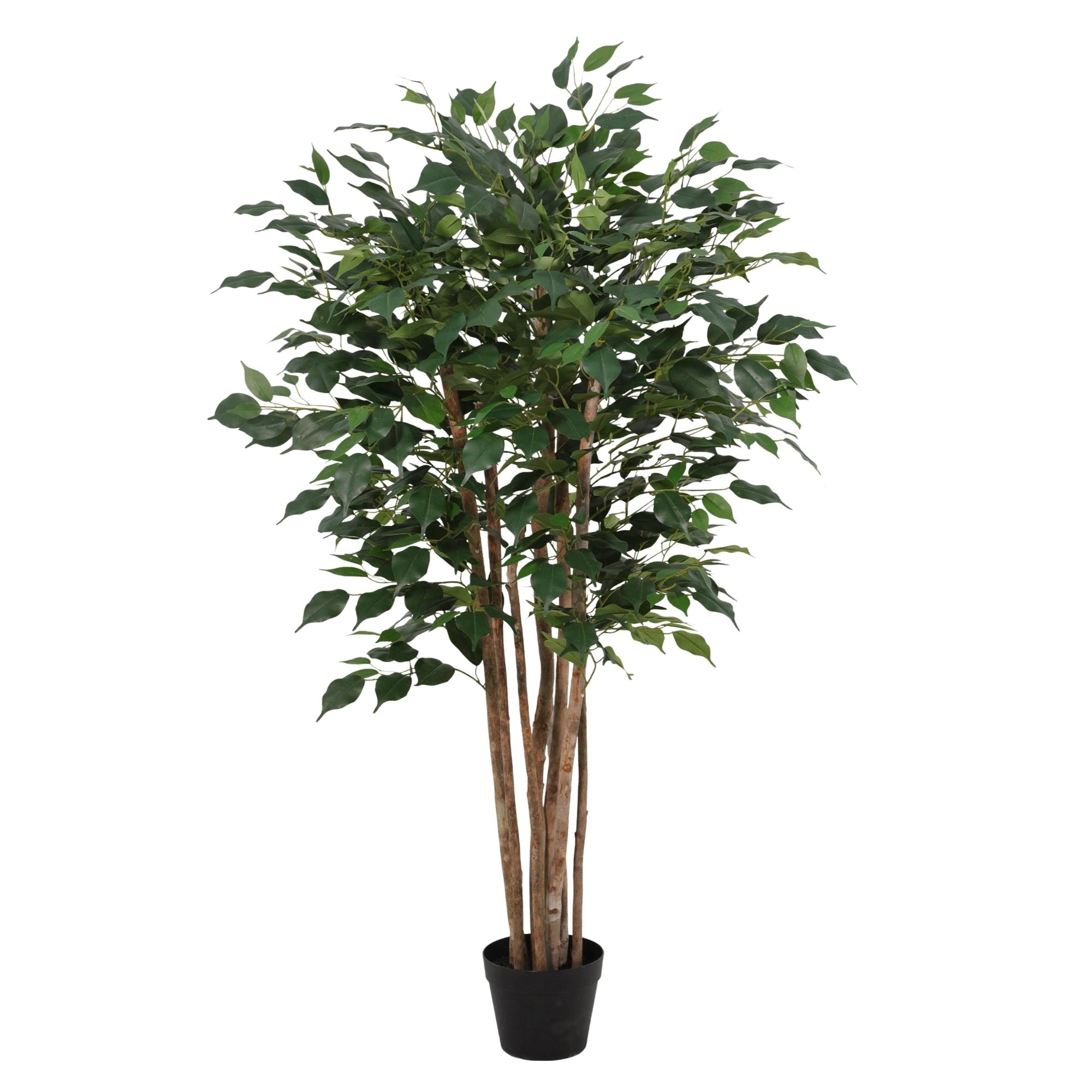 Künstliche Ficus Benjamina