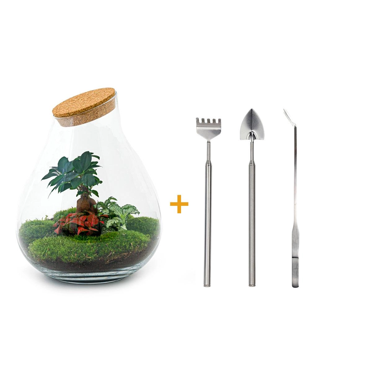 Do-It-Yourself Flaschengarten Set