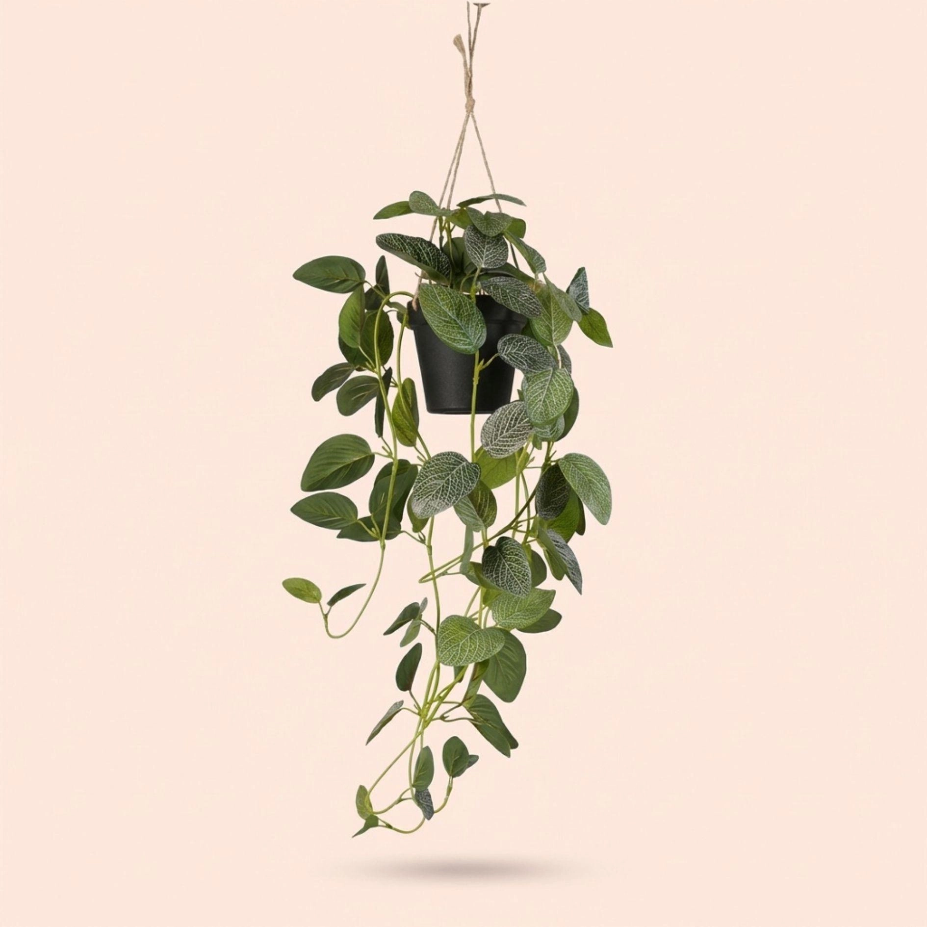 Detailansicht: Rope-Aufhängung und realistische Blätter der Fittonia Hängepflanze, 70 cm