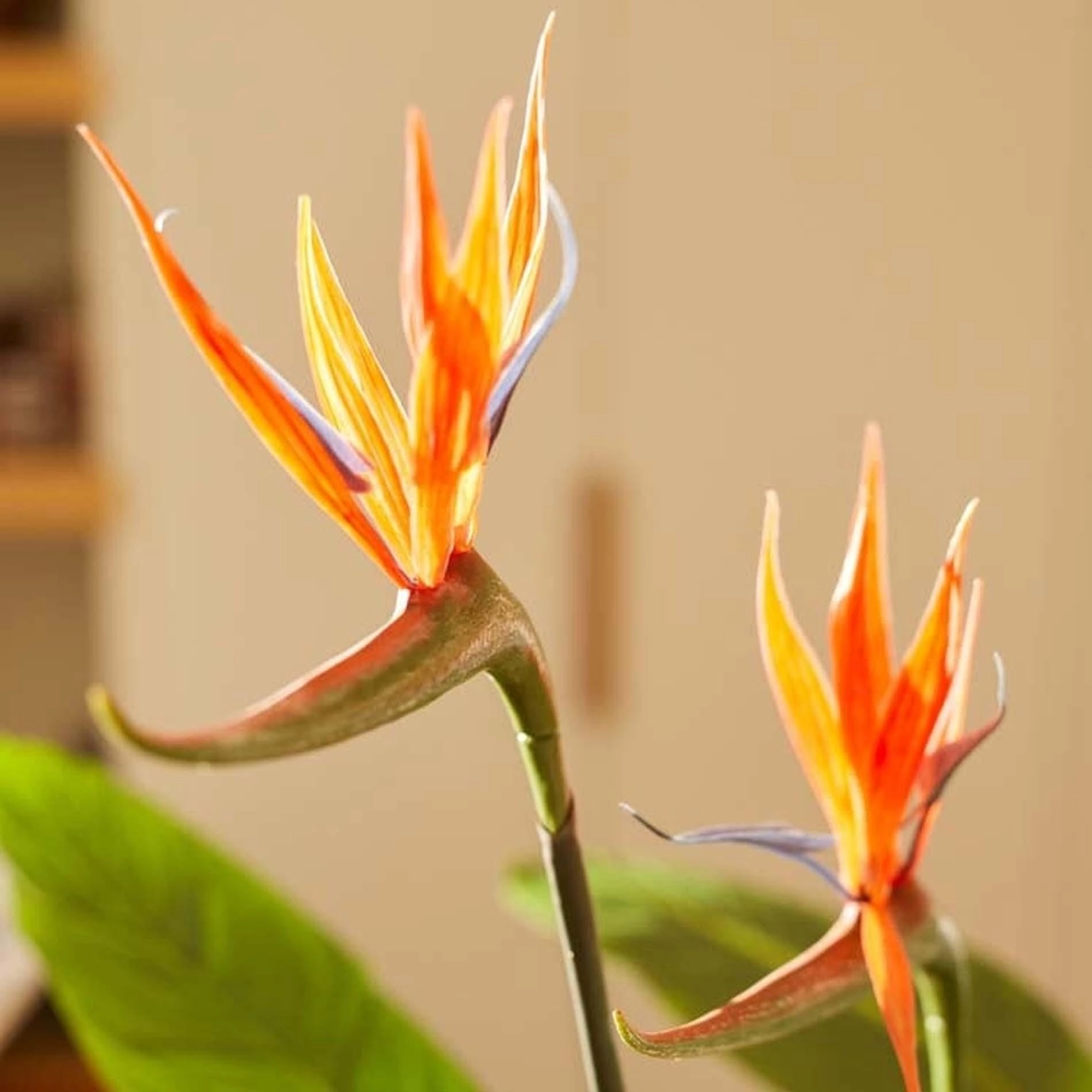 Strelitzia Kunstpflanze mit orangen Blumen