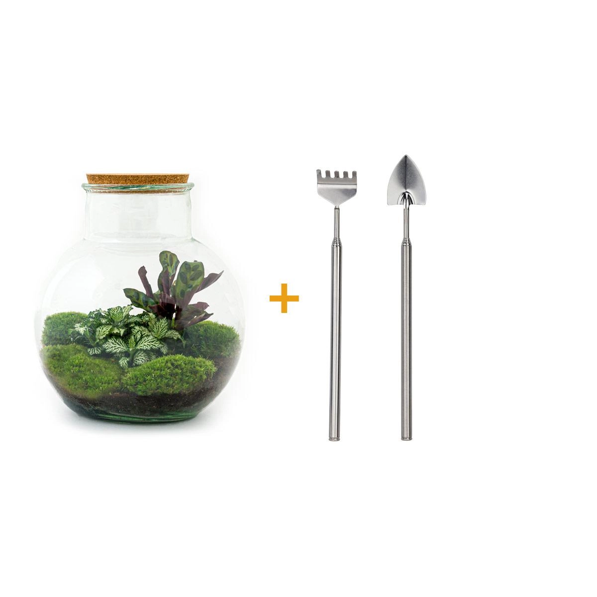DIY Terrarium Details