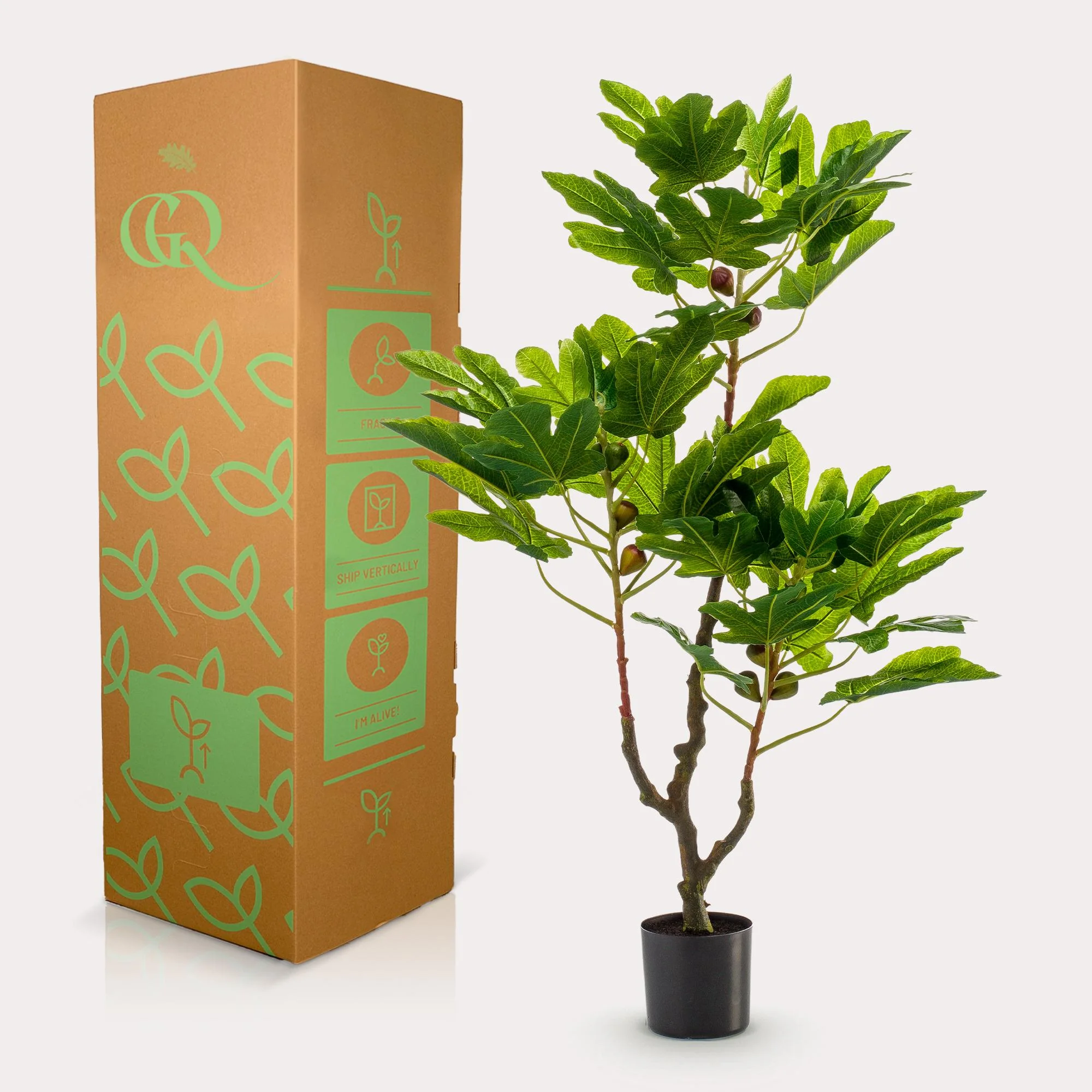Kunstfeigenbaum im Interieur