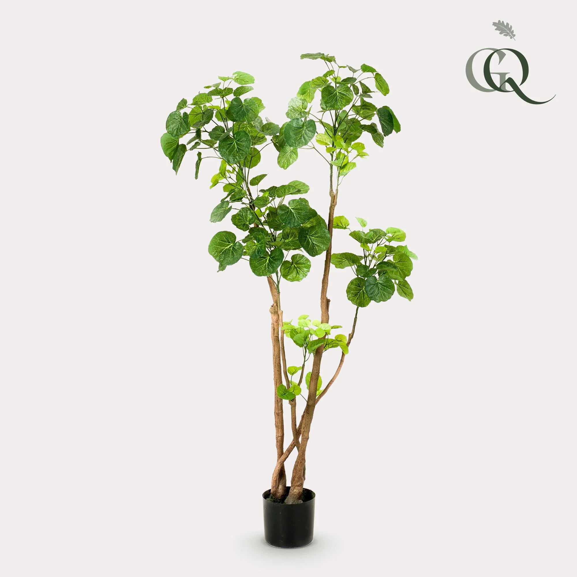 Kunstpflanze Aralia