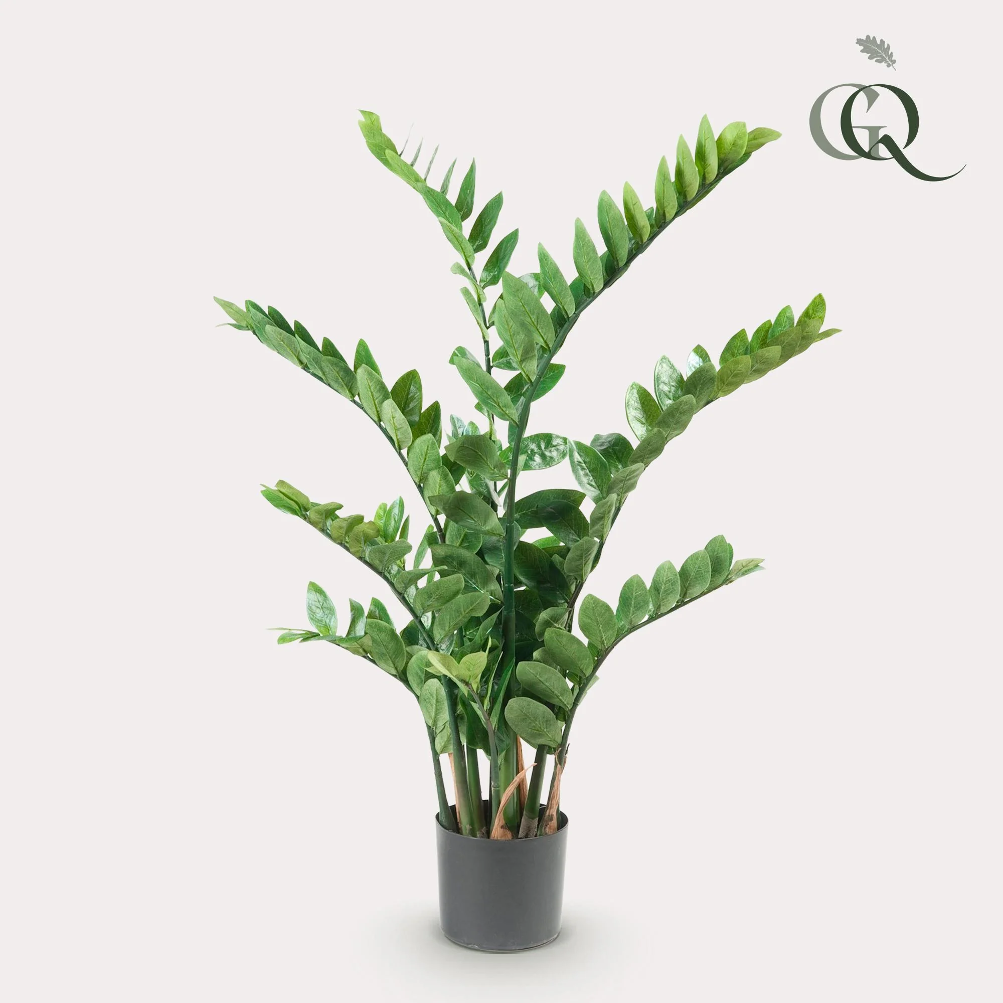 Zamioculcas Kunstpflanze in einer eleganten Umgebung