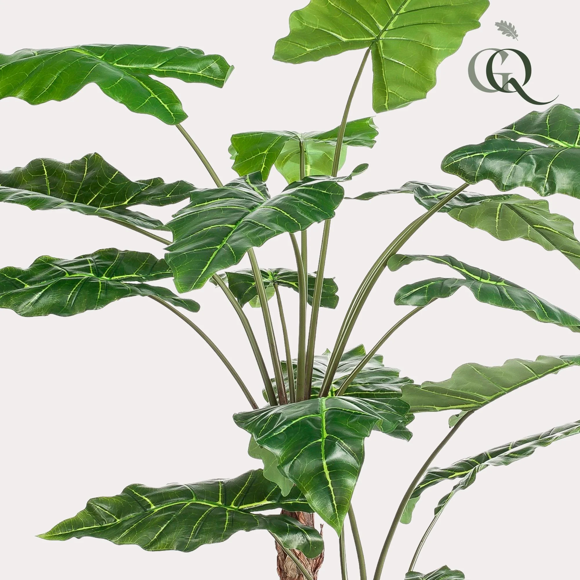 Kunstpflanze Alocasia in Anwendung