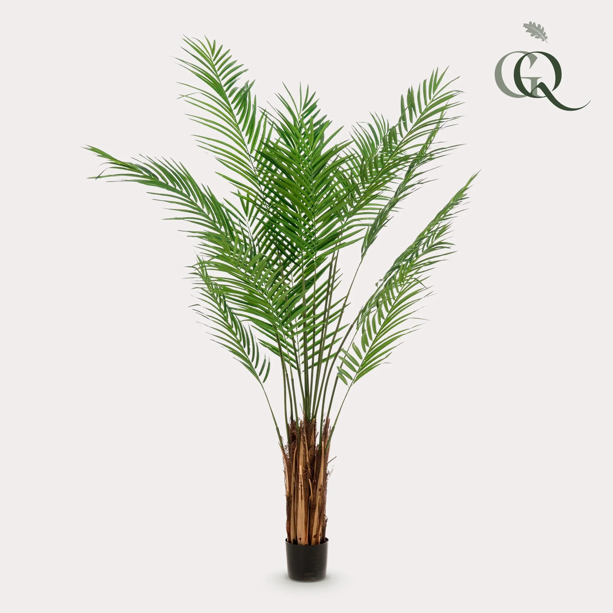 Kunst-Goldpalme Areca Lutescens