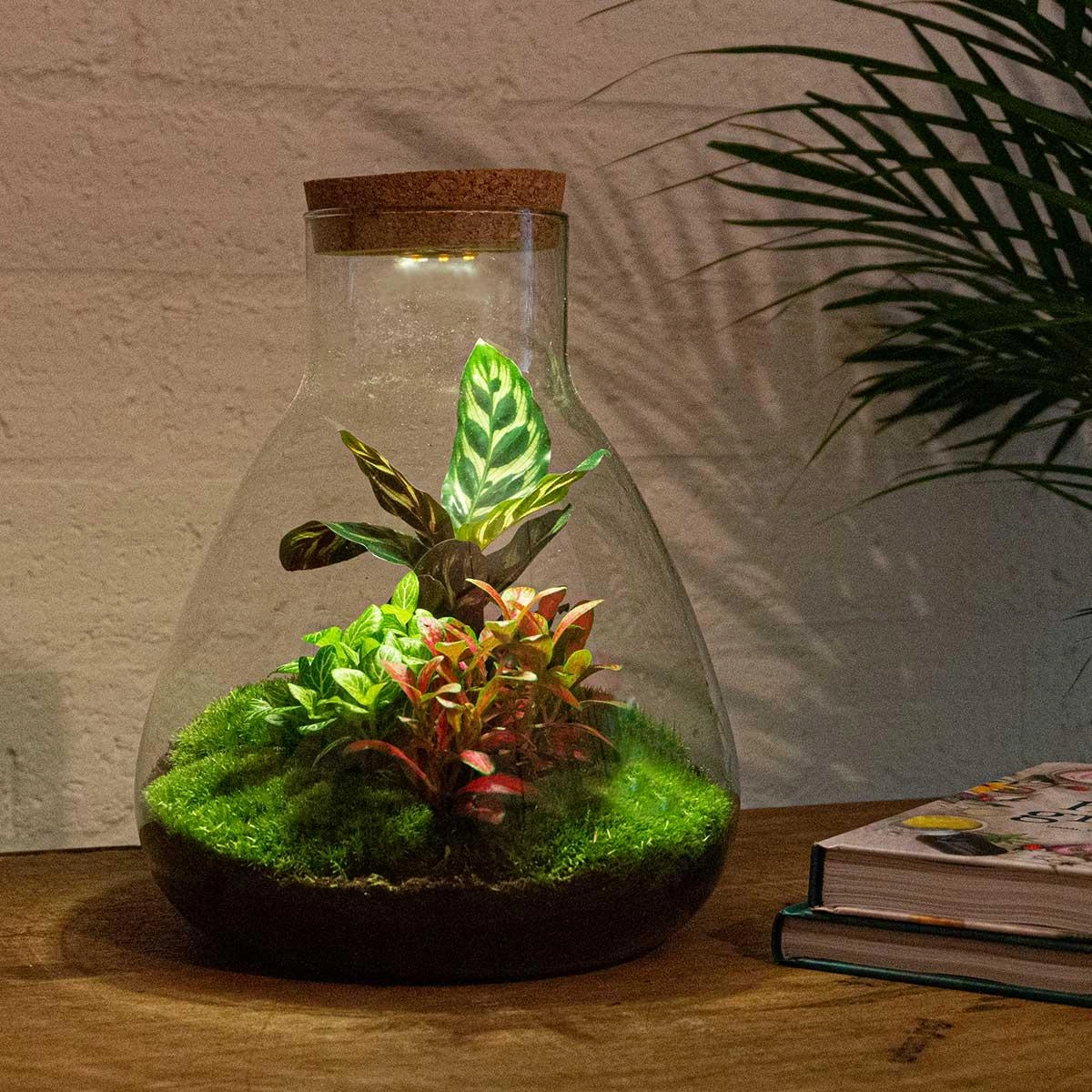 DIY Flaschengarten mit LED-Beleuchtung