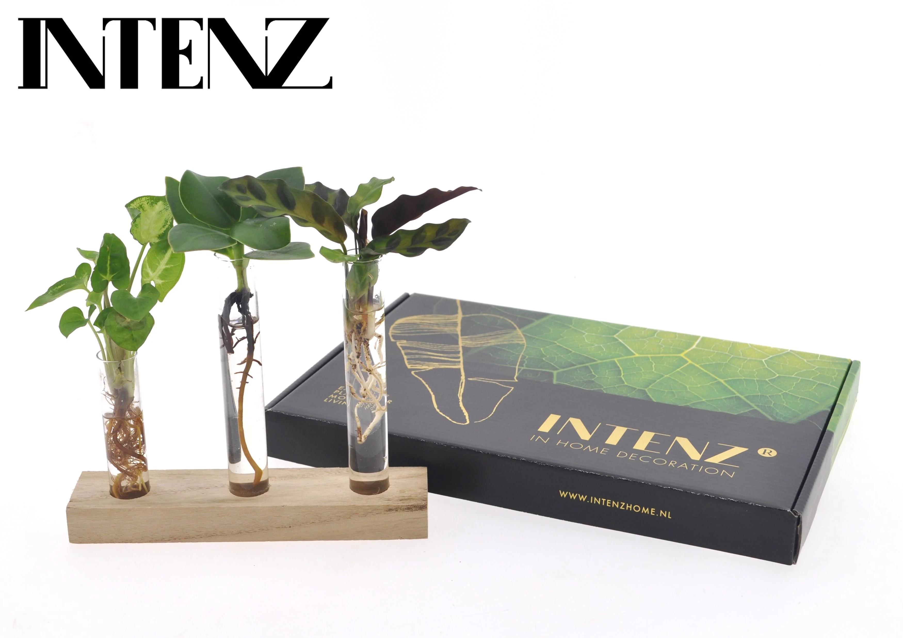 Brievenbuspaket Hydroponie