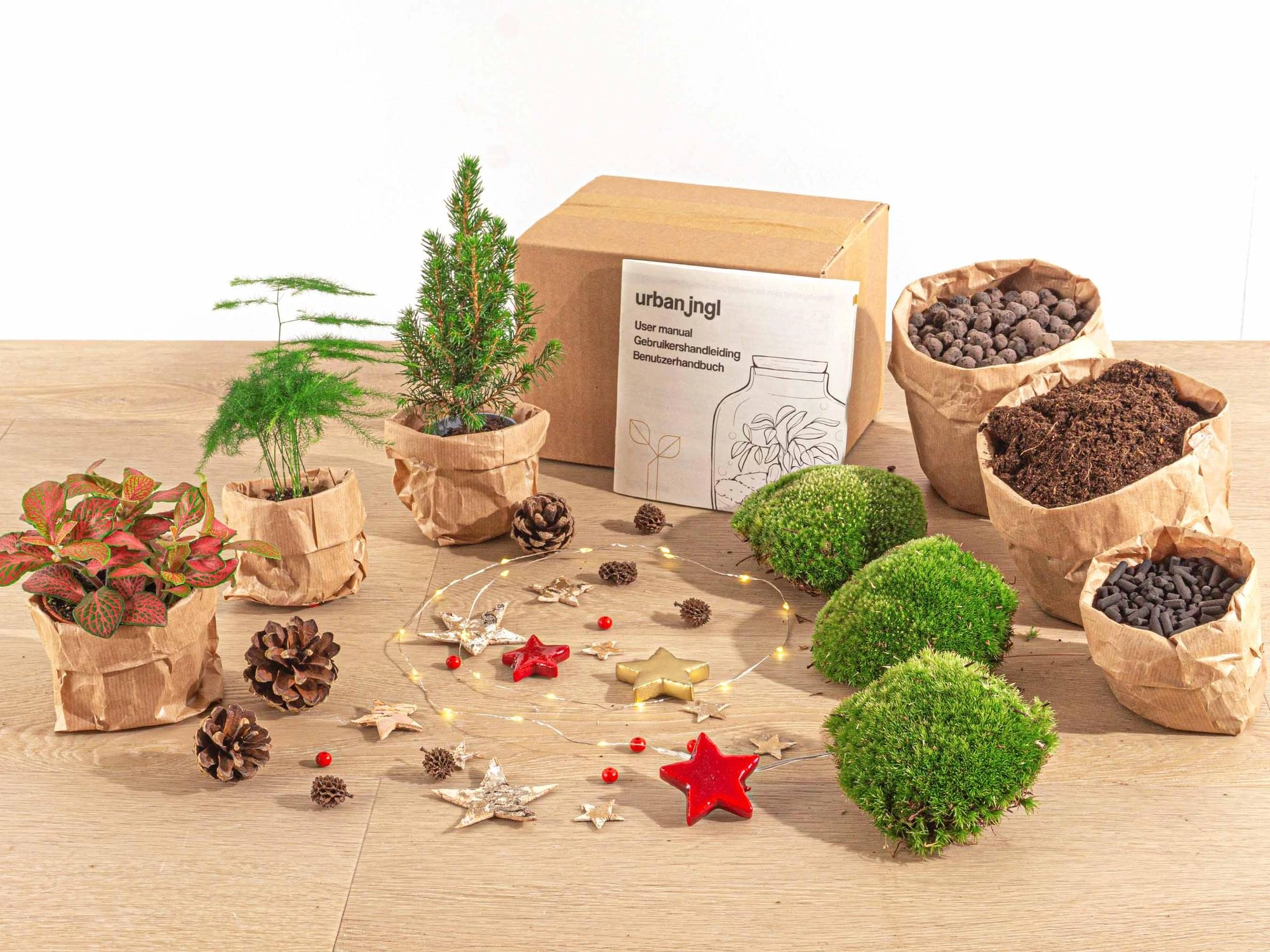 Detailansicht des Terrarium Sets