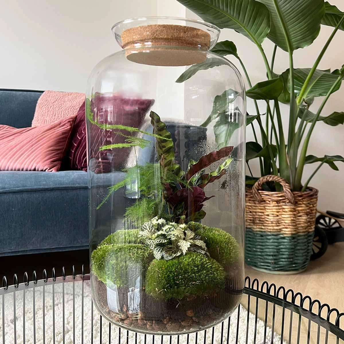 DIY Terrarium Flaschengarten