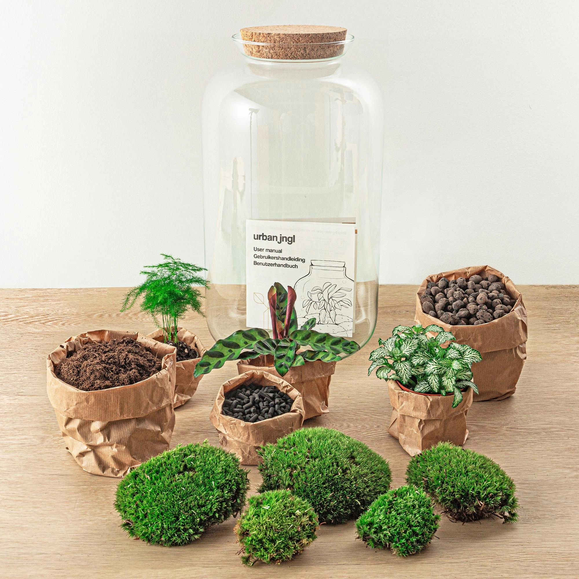 Eingebautes Terrarium Set