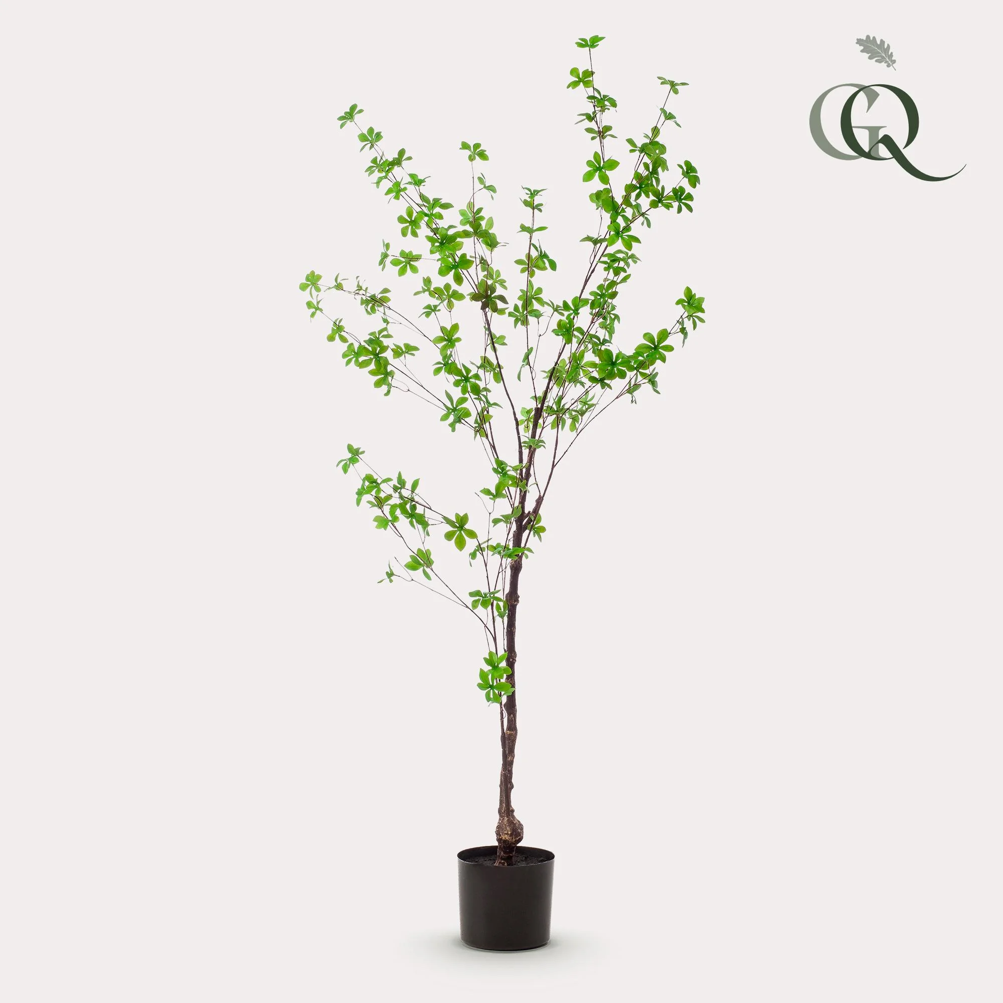 Kunstpflanze in einer modernen Einrichtung