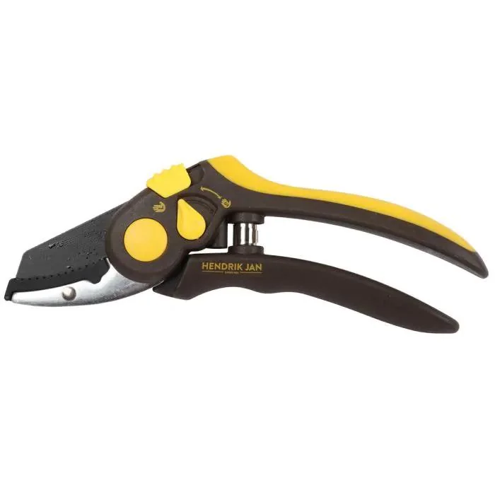 Hendrik Jan Snoeischaar