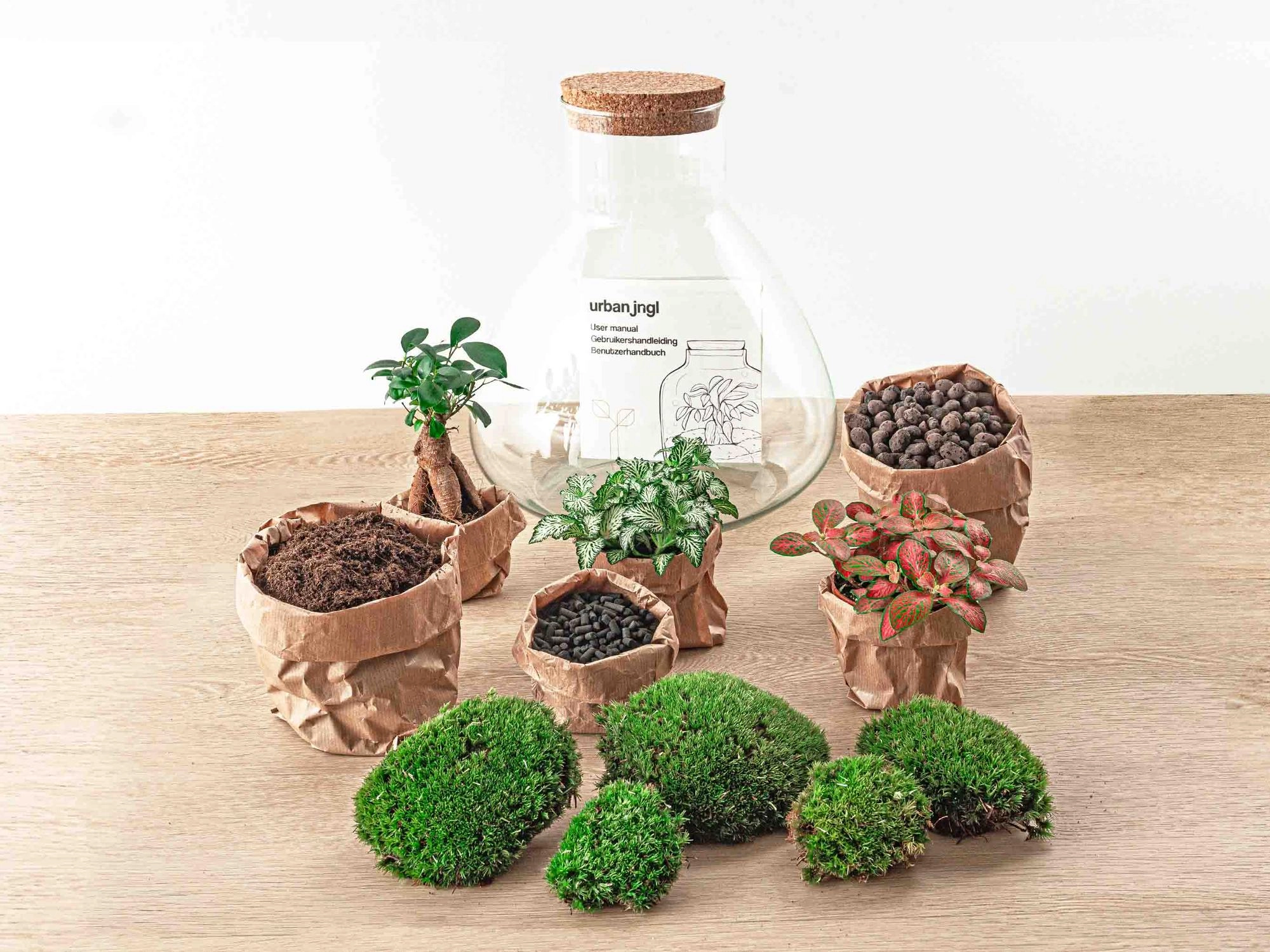DIY Terrarium Set