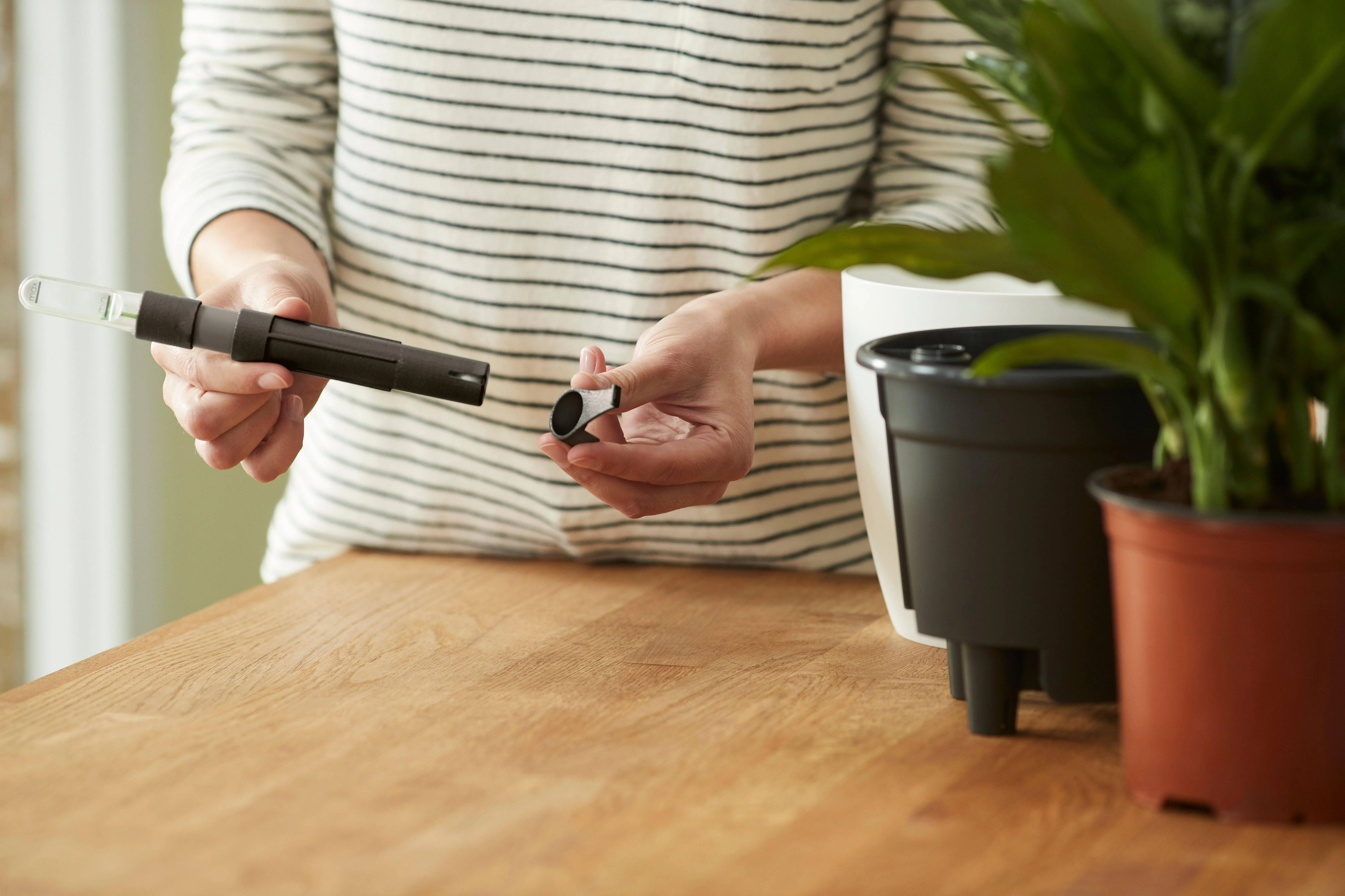 Self Watering Insert als Pflanzeneinsatz mit integriertem Wasserreservoir