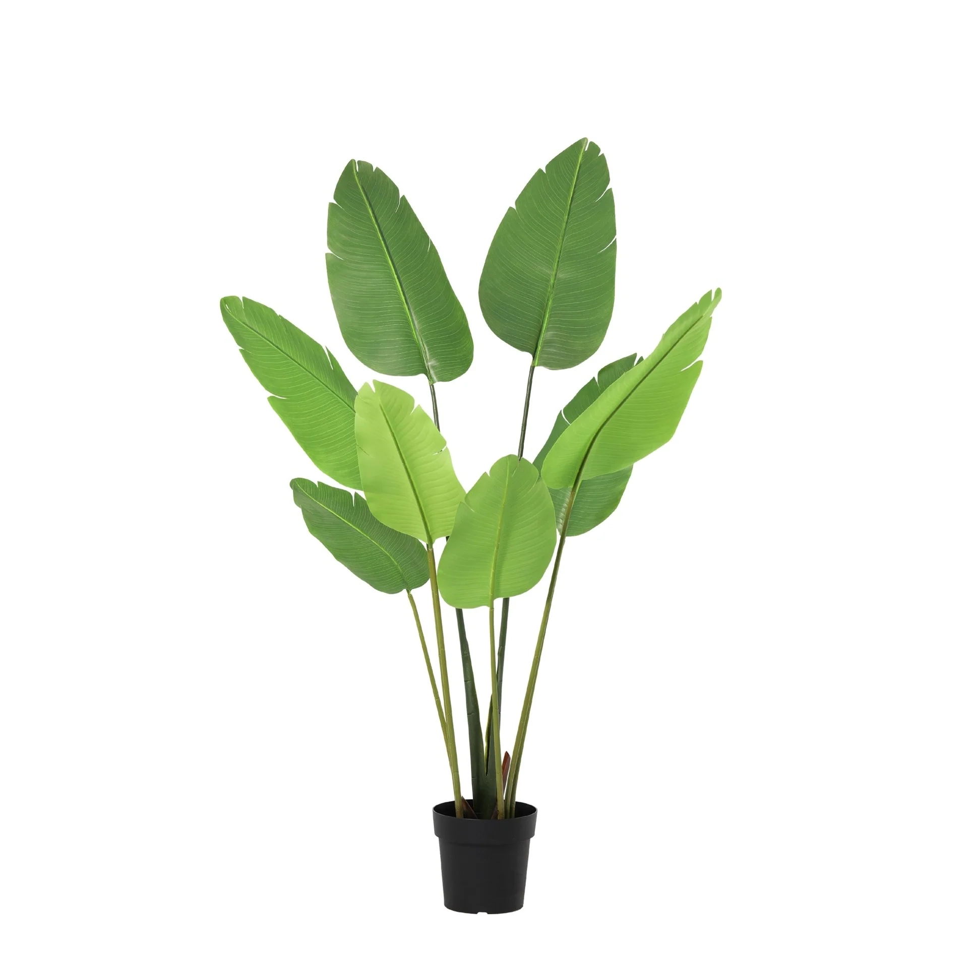 Künstliche Strelitzia Nicolai in vollen Blättern