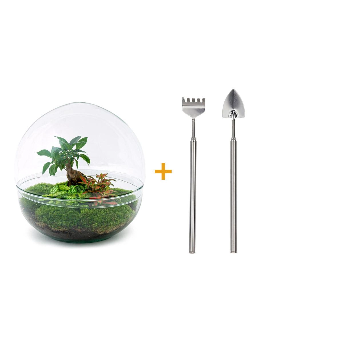Do-It-Yourself Flaschengarten Set