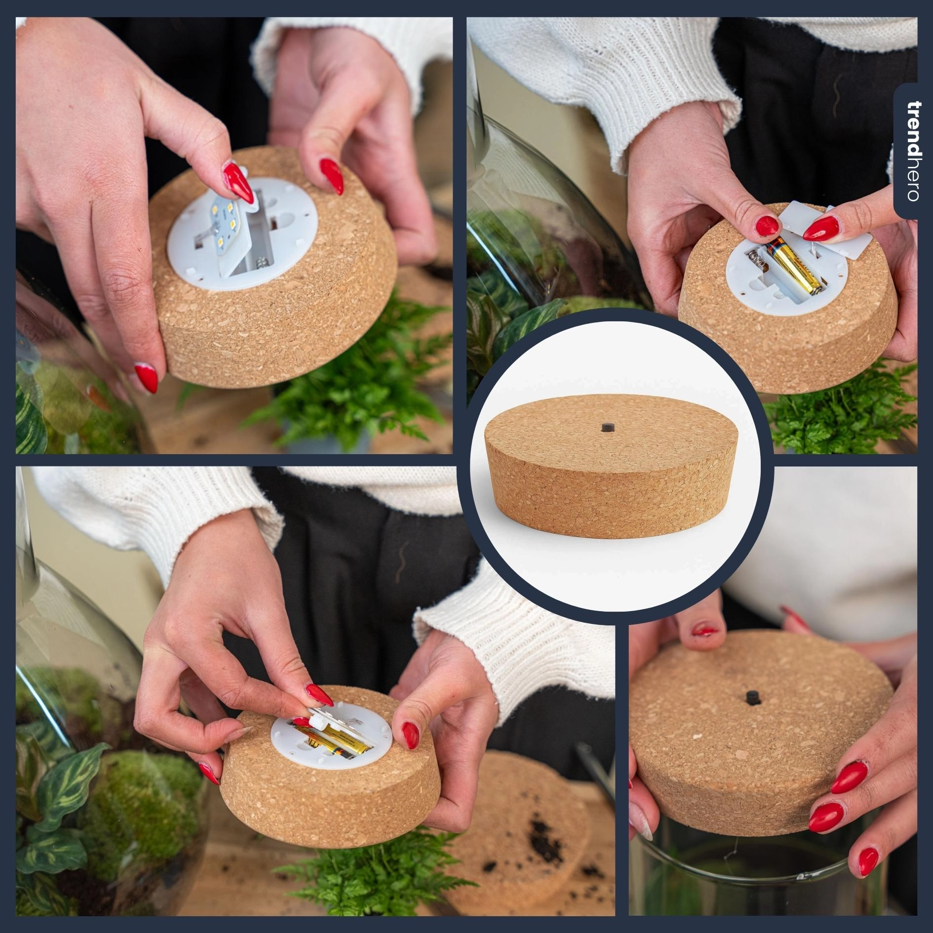 LED-Kurk in Anwendung im Terrarium