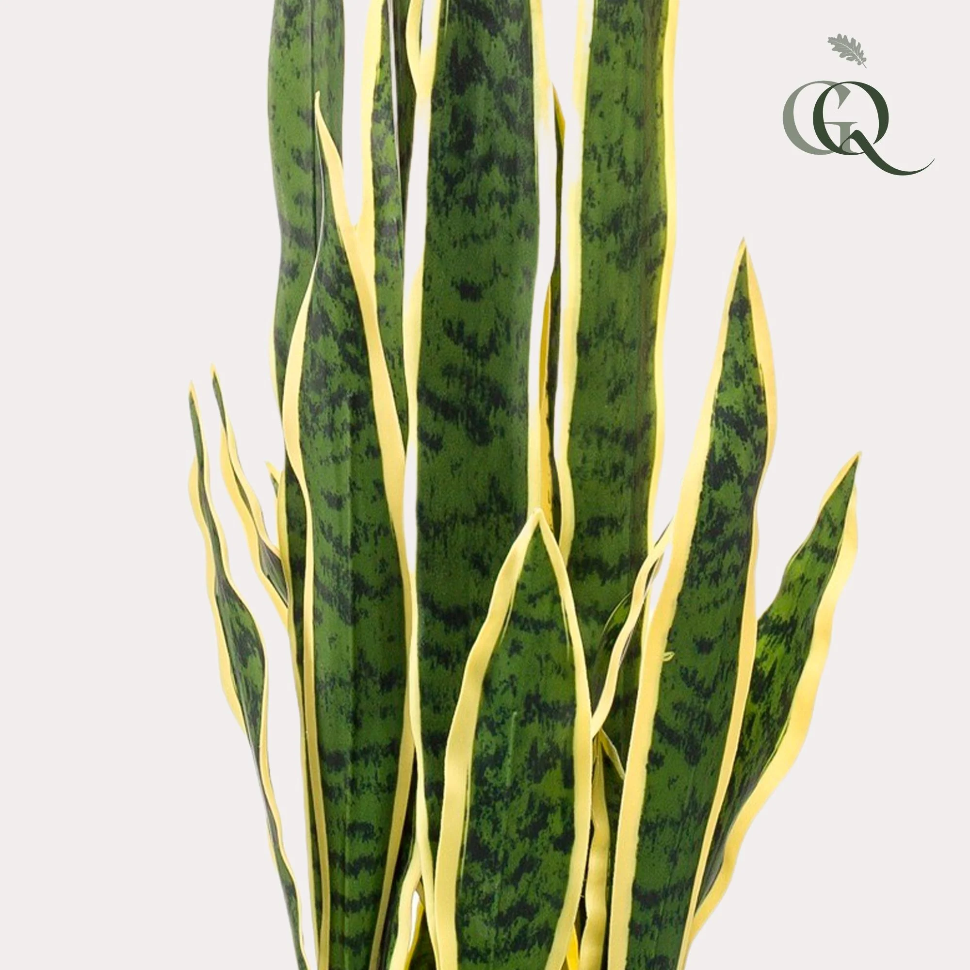 Sanseveria Trifasciata – Frauenzunge Kunstpflanze