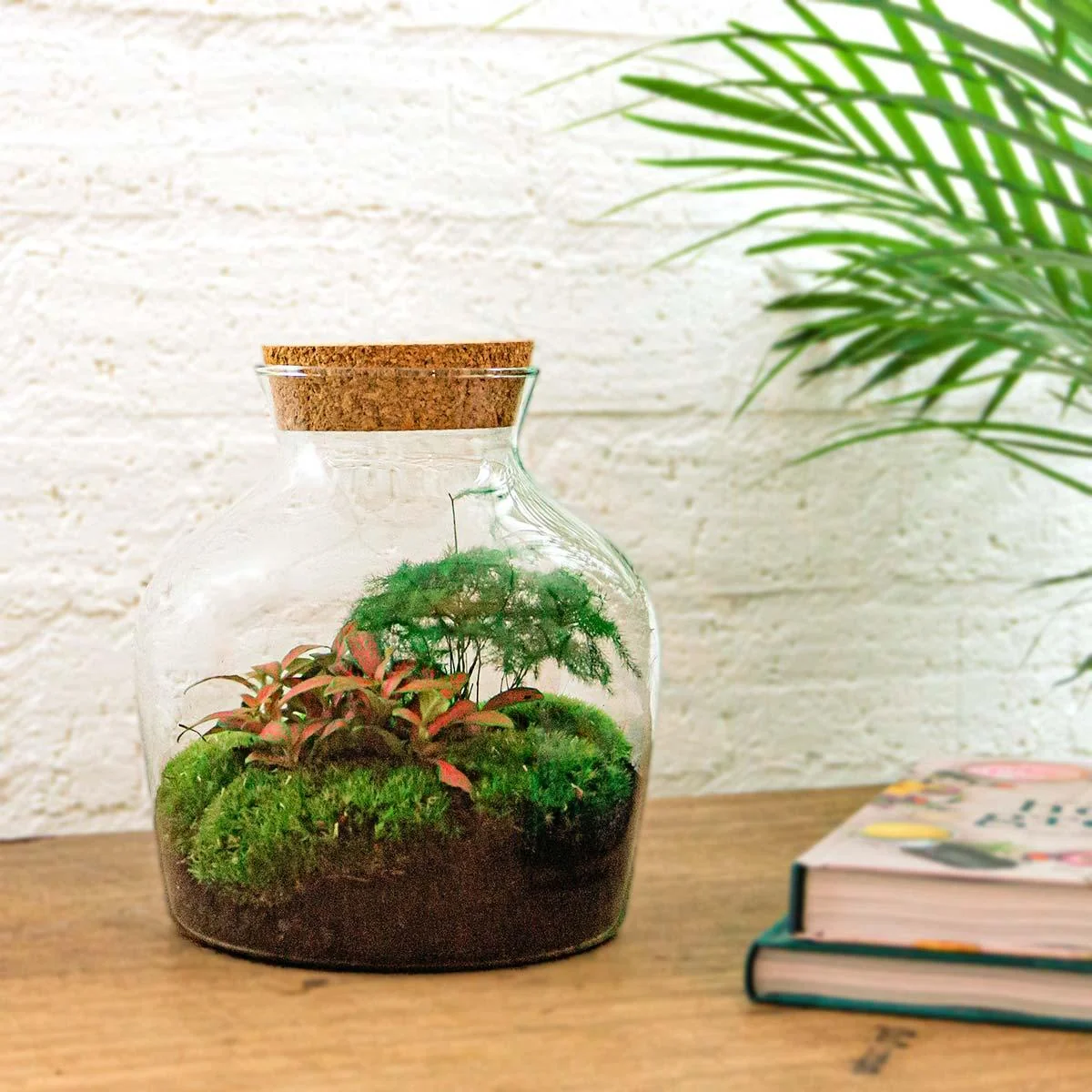DIY Flaschengarten Terrarium