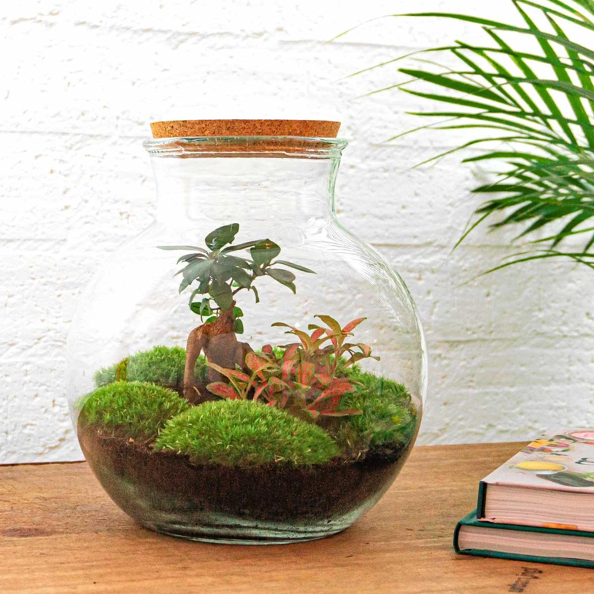 Detailansicht des Terrariums