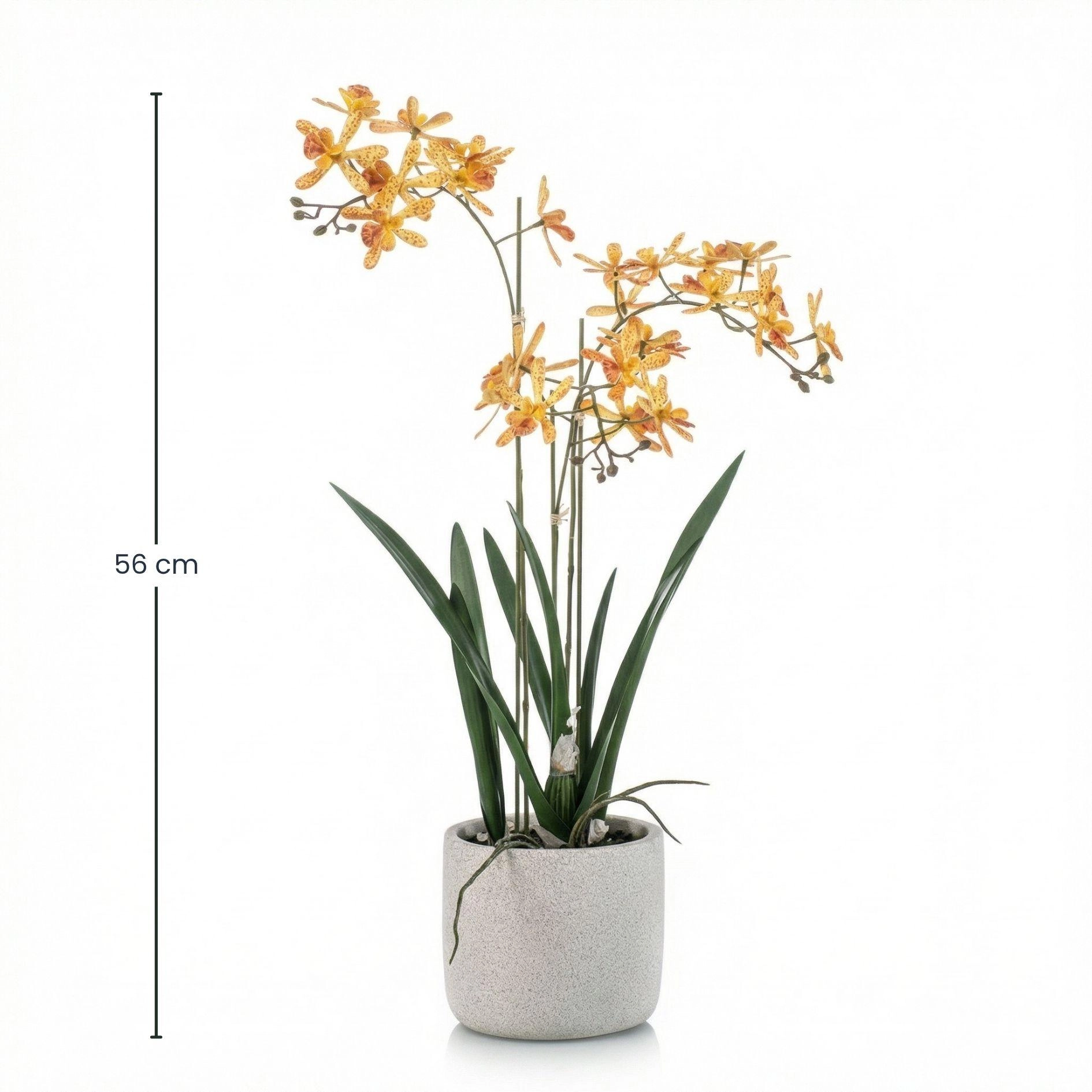 Detailaufnahme Blüten Renanthera künstliche Orchidee gelb orange Nahaufnahme
