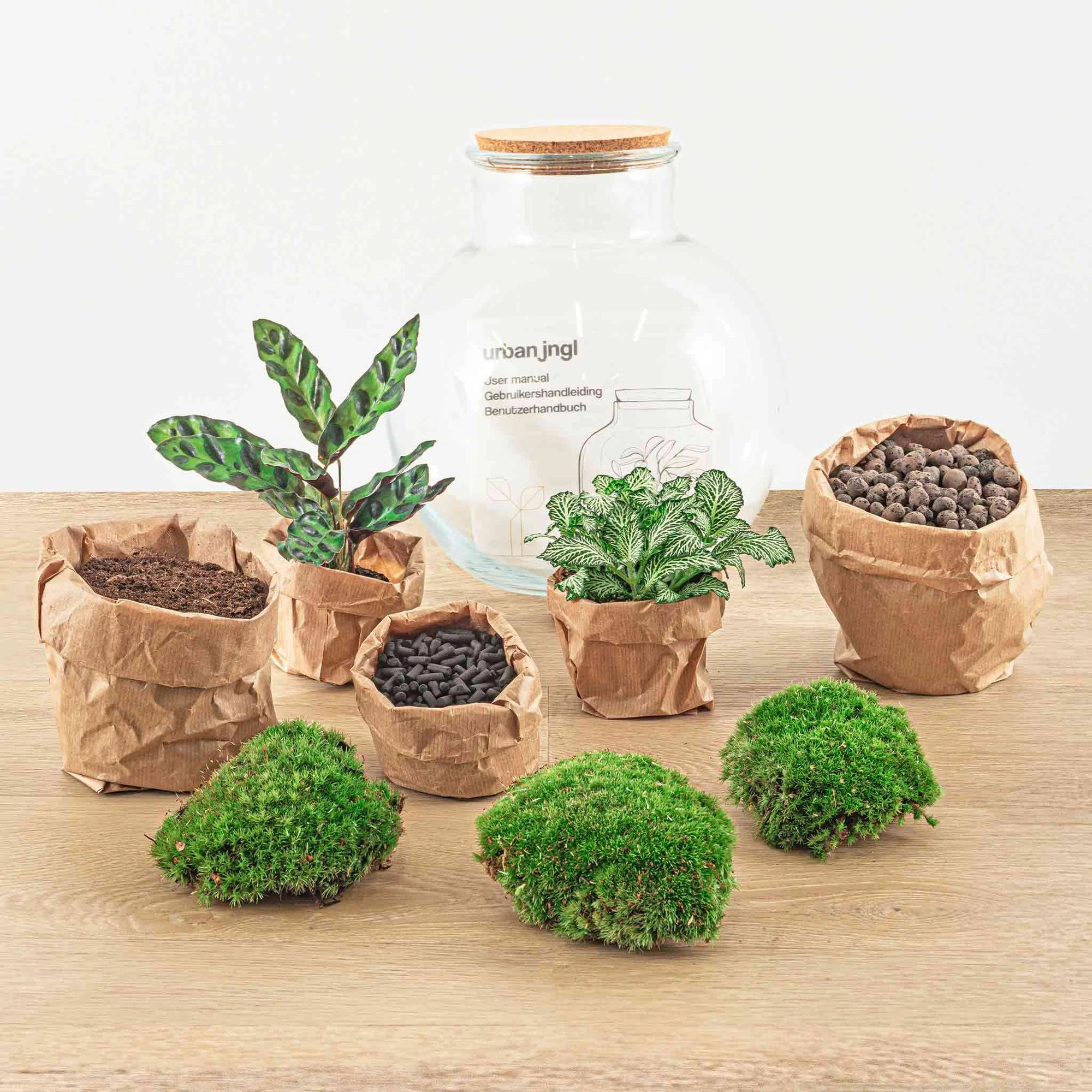 Gestaltetes Terrarium