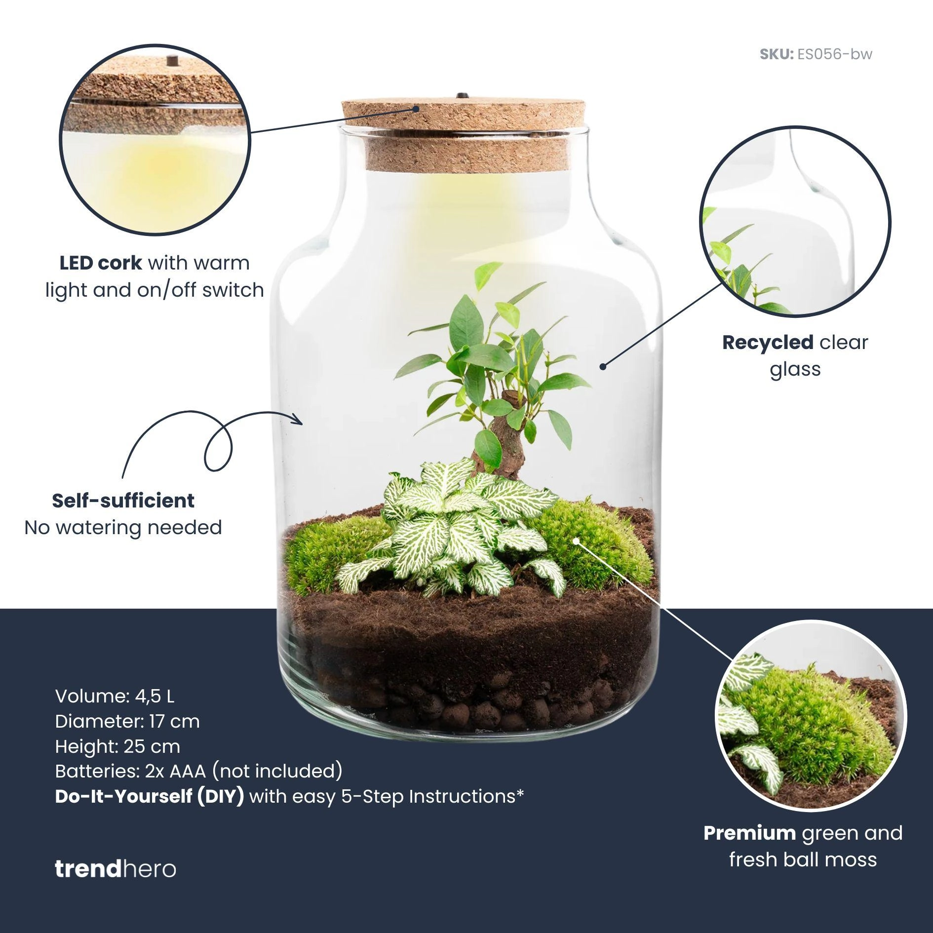 Little Milky Terrarium mit LED-Kork