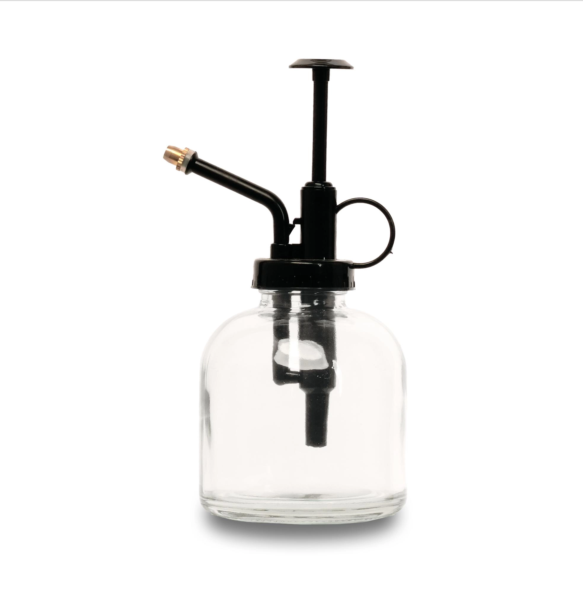 Glas Pflanzenspritze in klarem Design