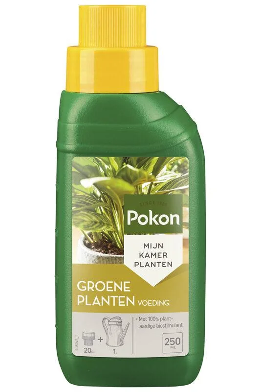 Groene Planten Voeding