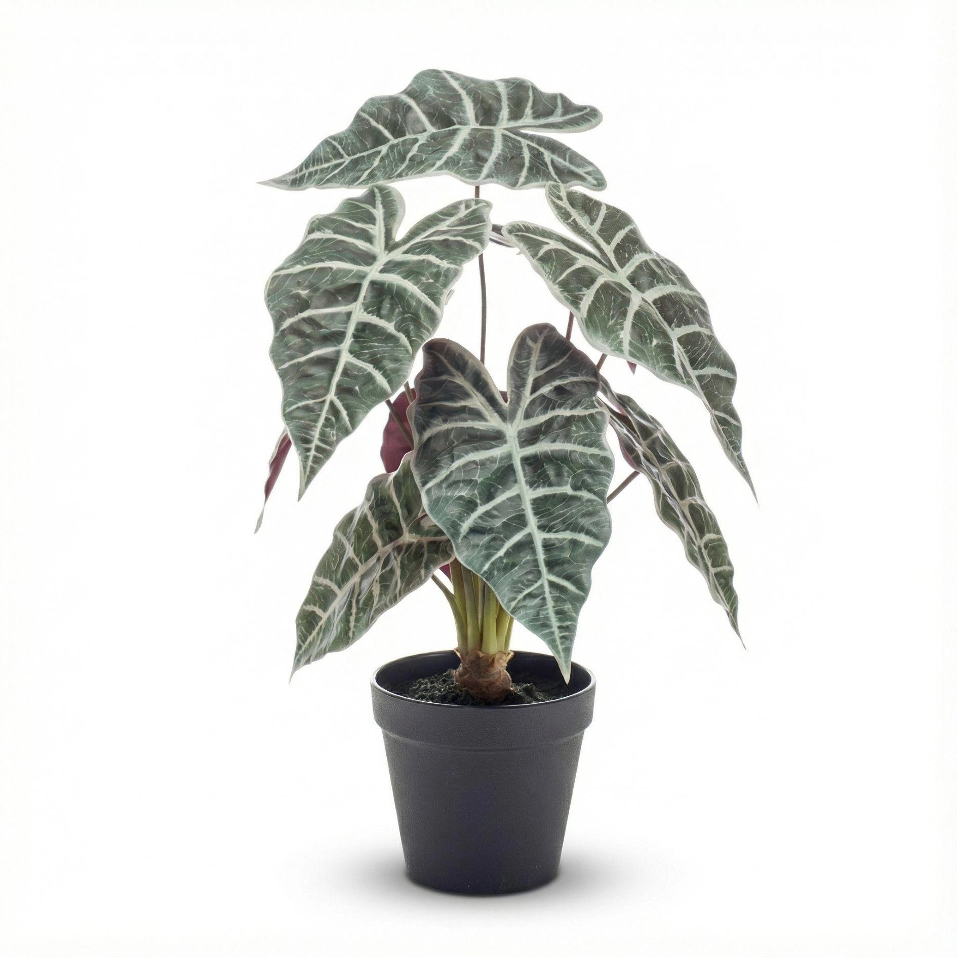 Alocasia Kunstpflanze im Topf