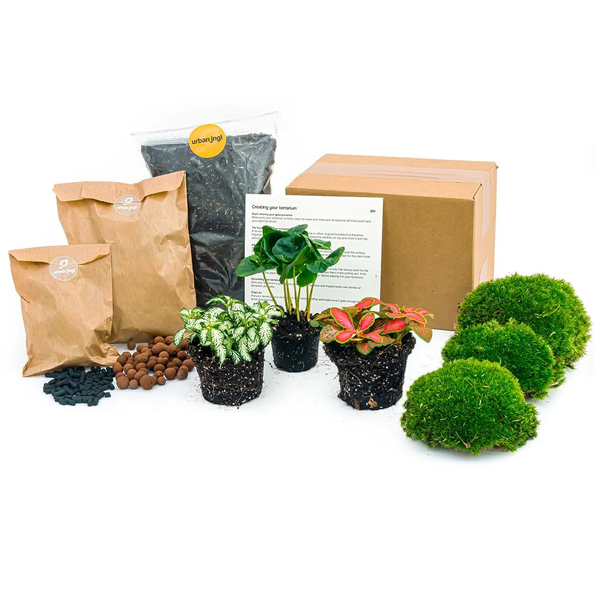 Terrarium Pflanzen Set